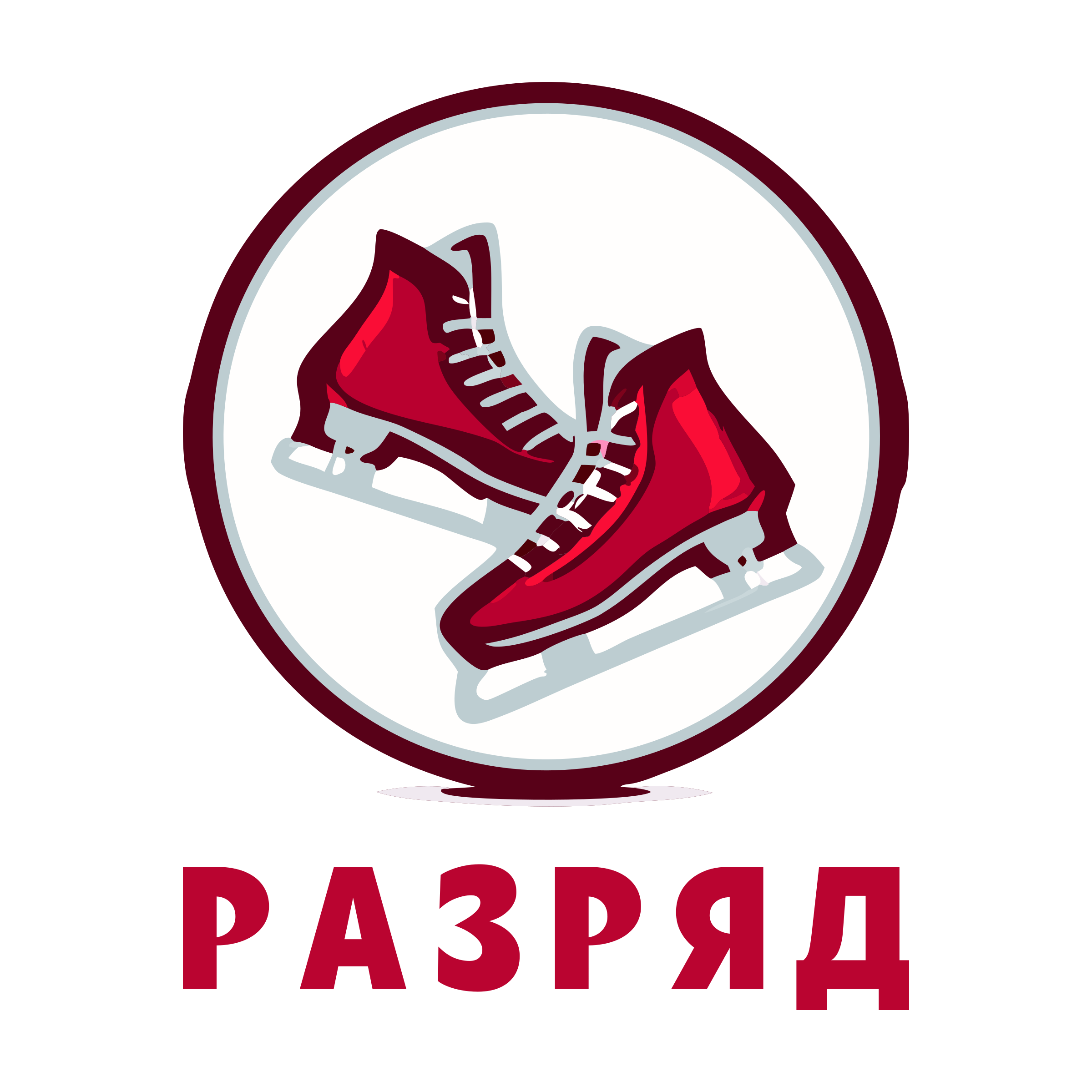 Логотип компании «Разряд»