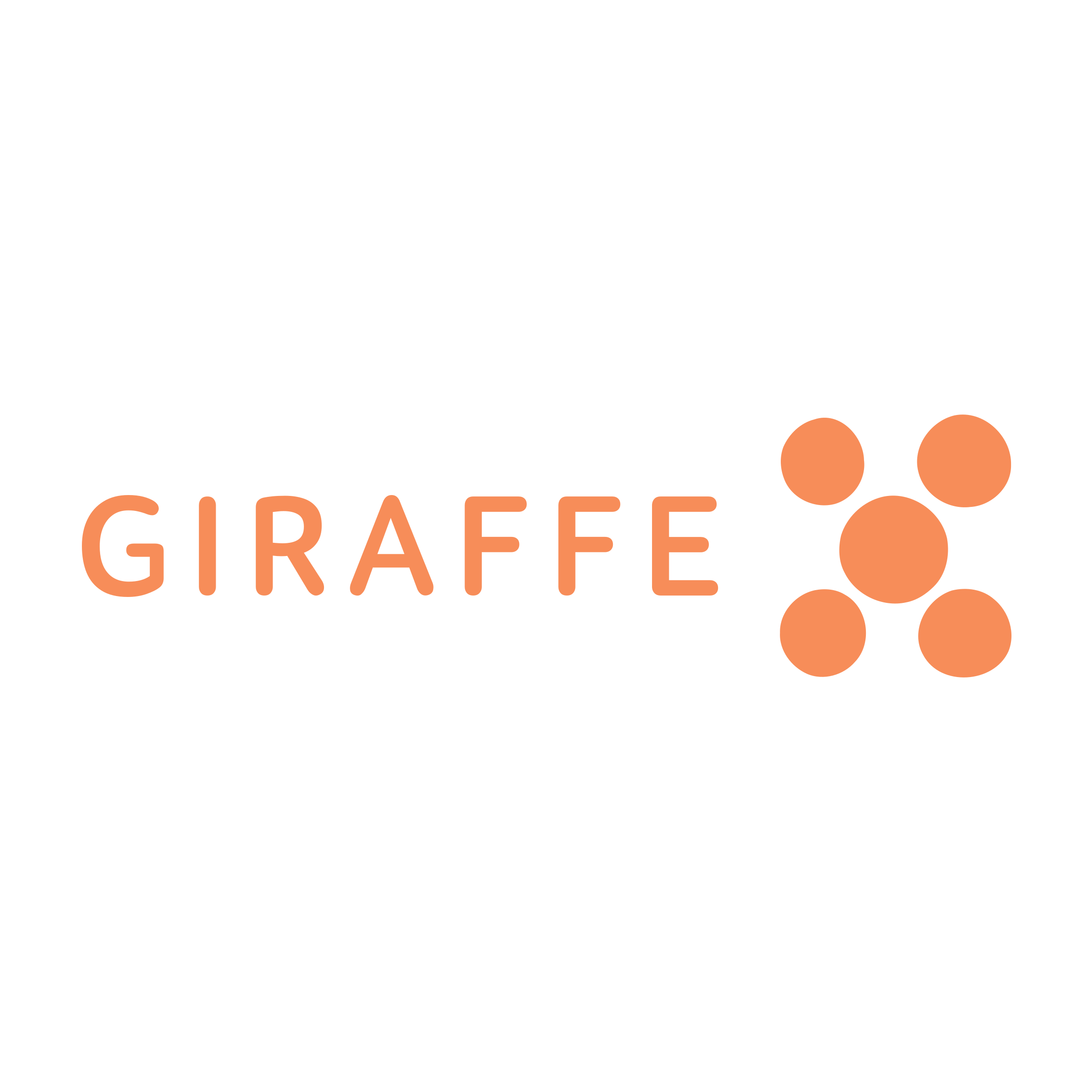 Company logo «Giraffe»