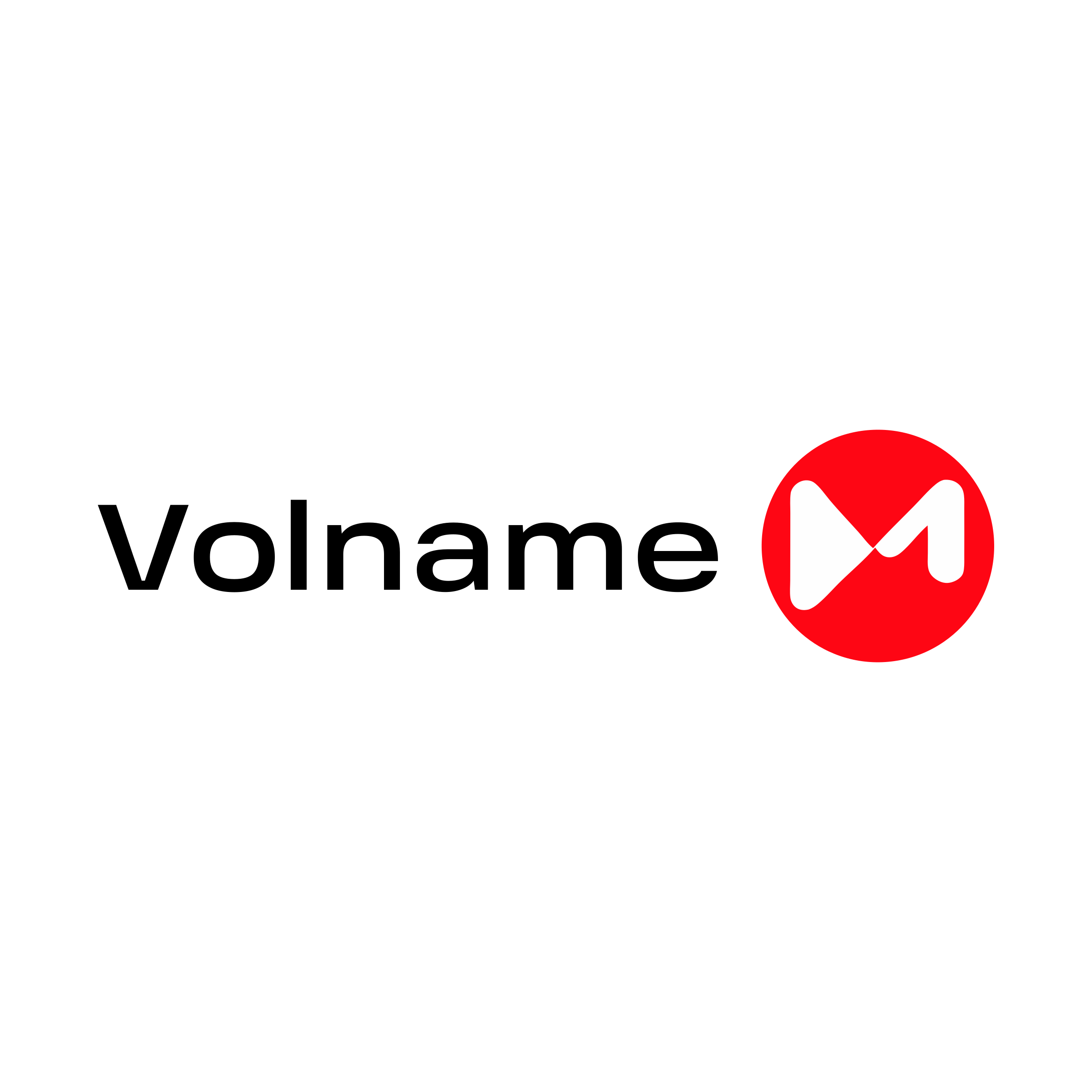 Логотип компании «Volname»