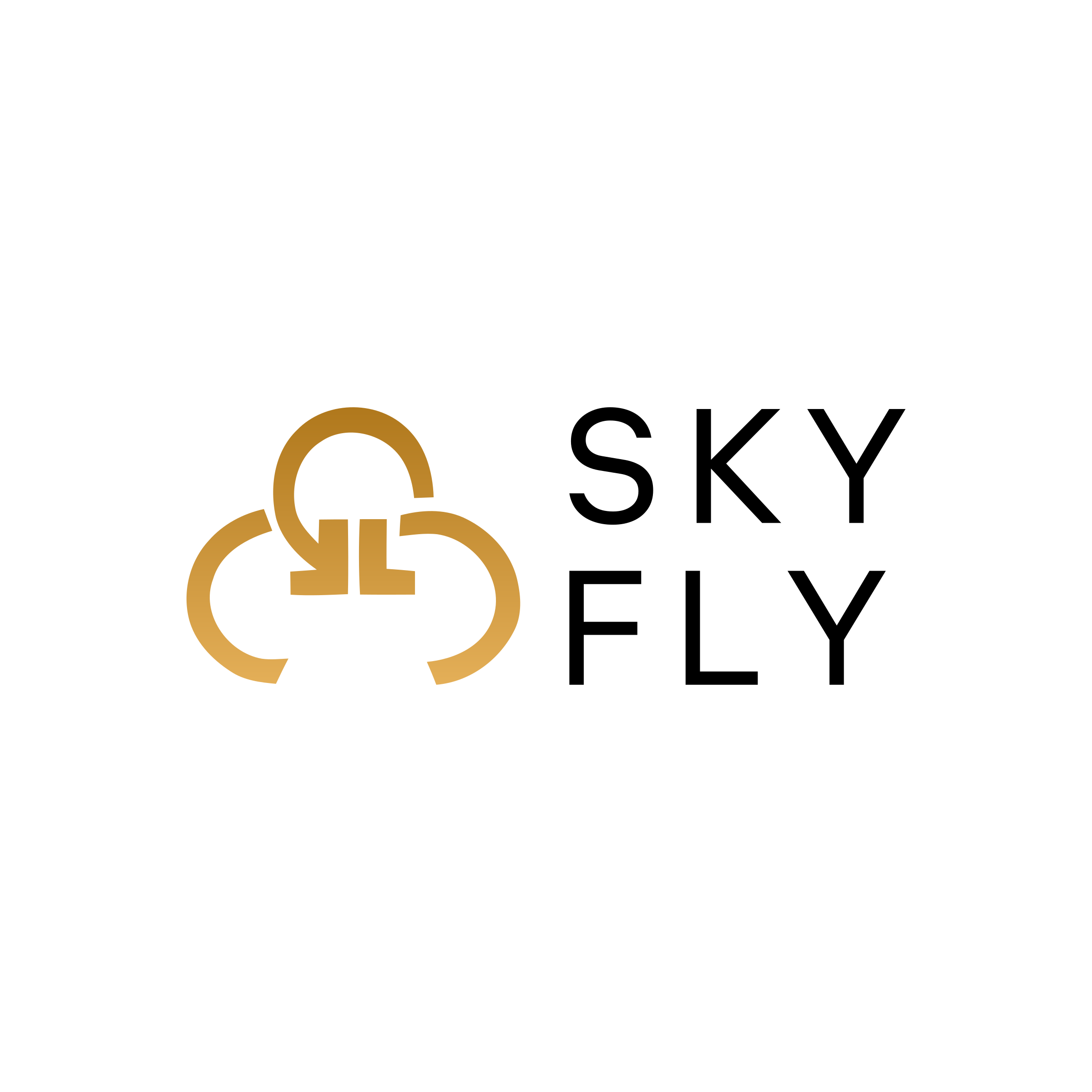 Company logo «SKY FLY»