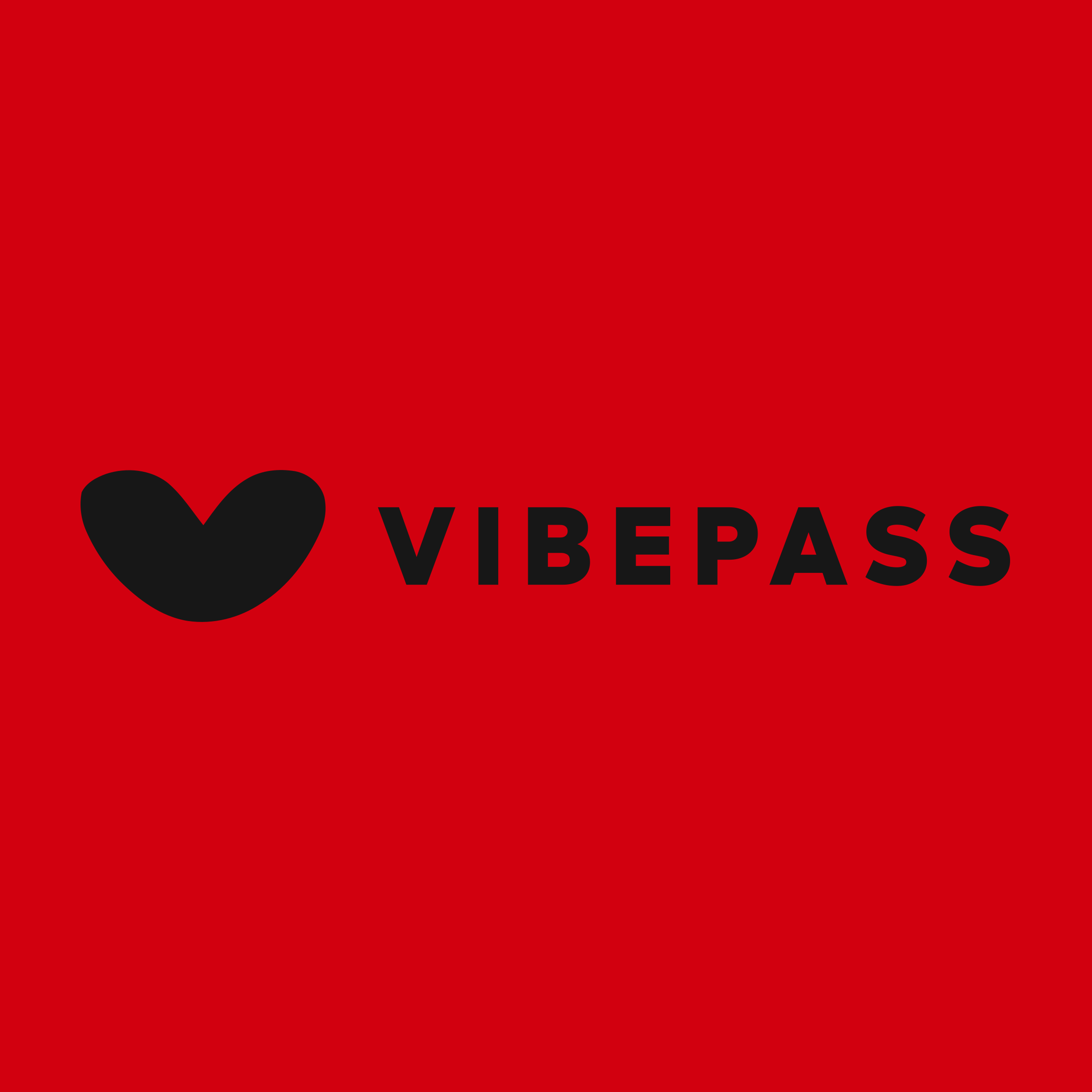 Логотип компании «VibePass»