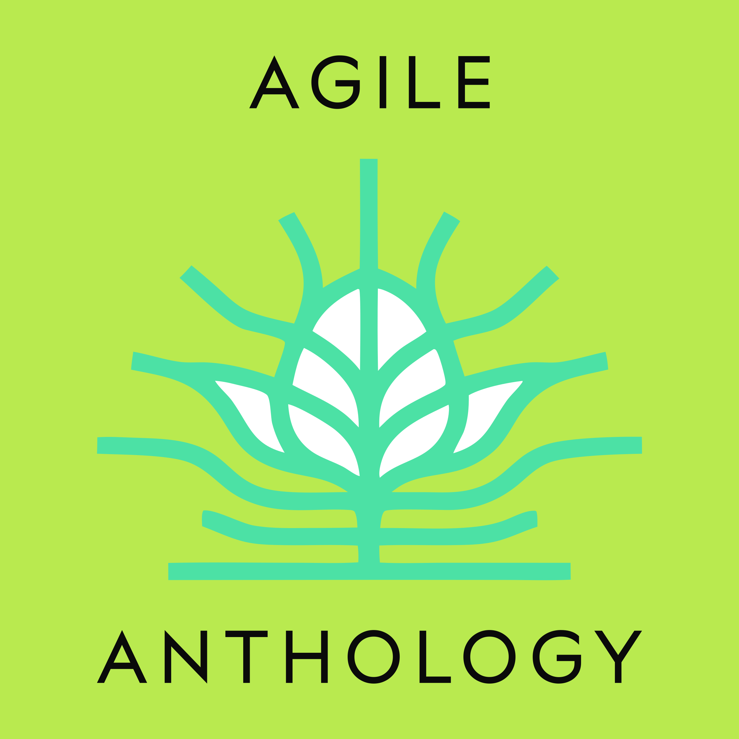 Company logo «Agile Anthology»
