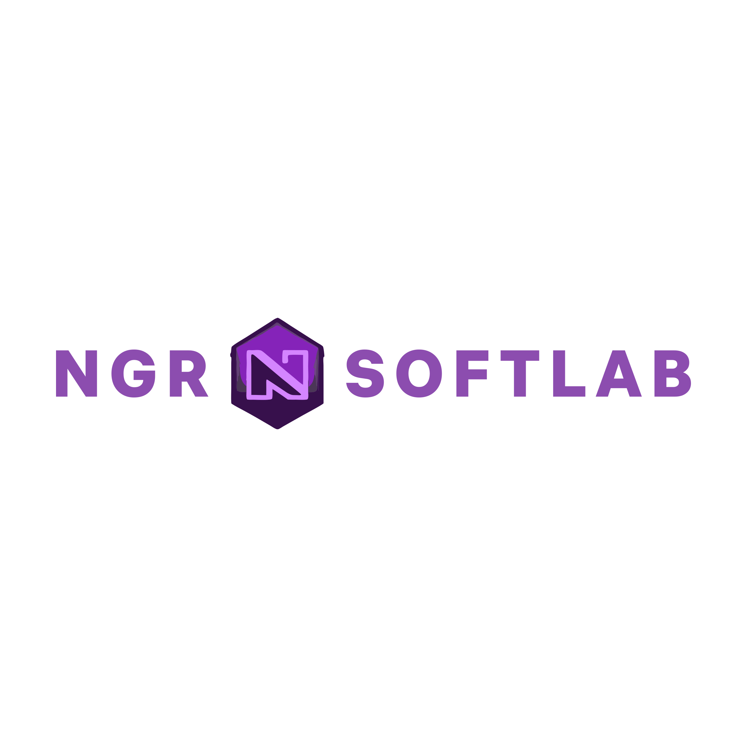 Company logo «NGR Softlab»