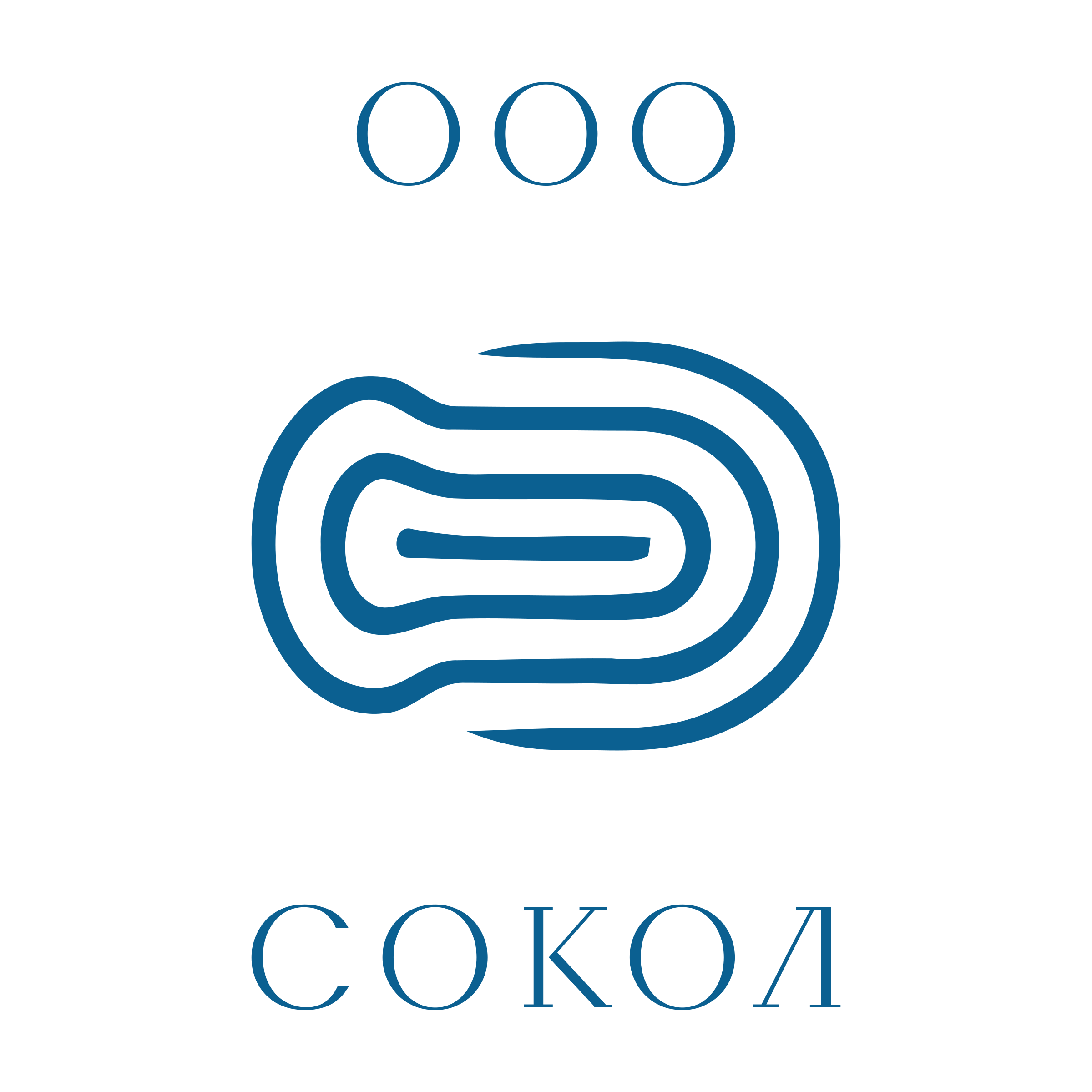 Логотип компании «ООО СОКОЛ»