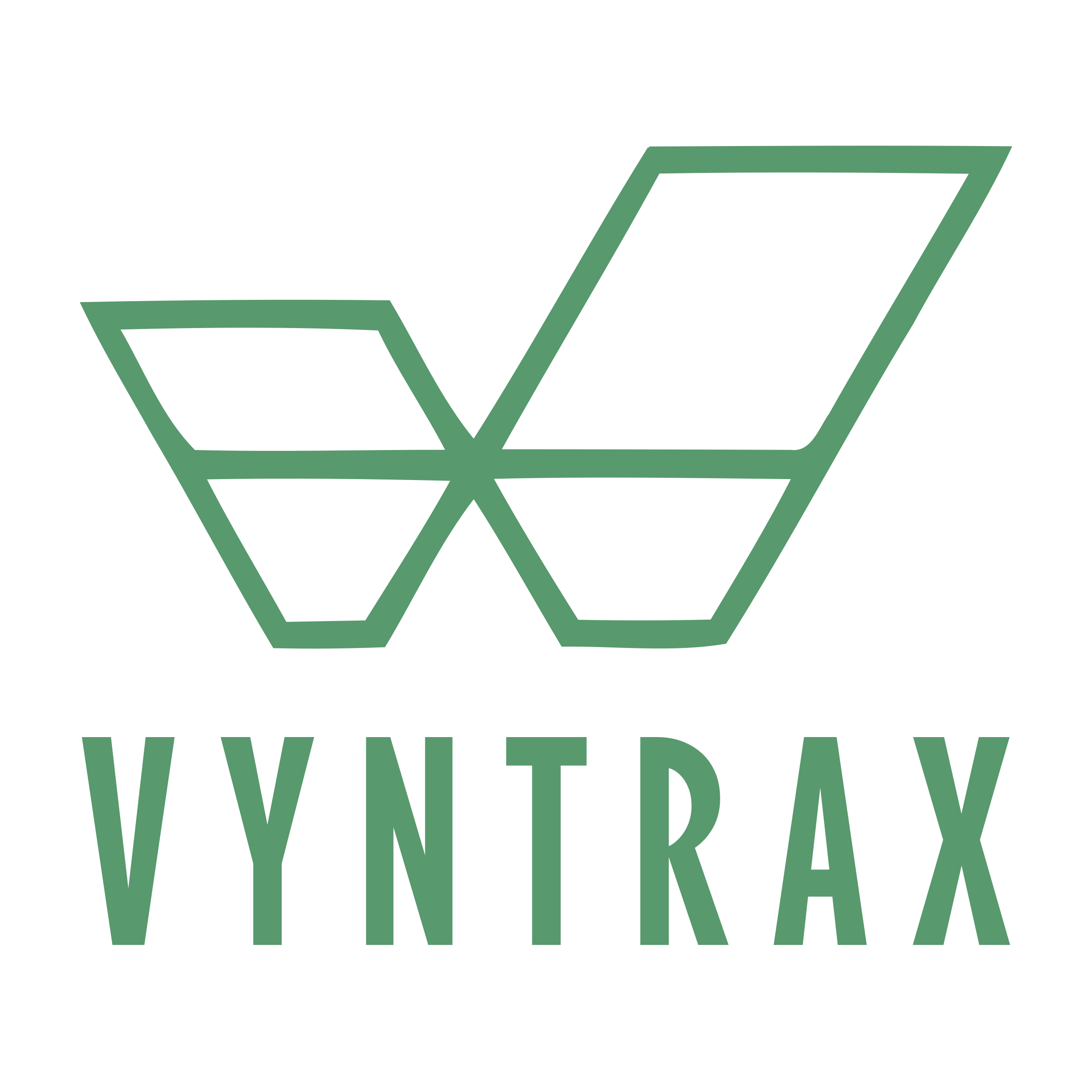 Логотип компании «VyntraX»