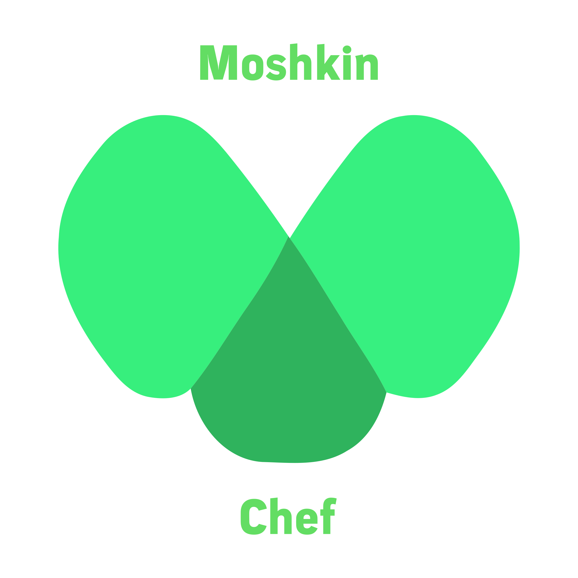 Логотип компании «Moshkin Team»