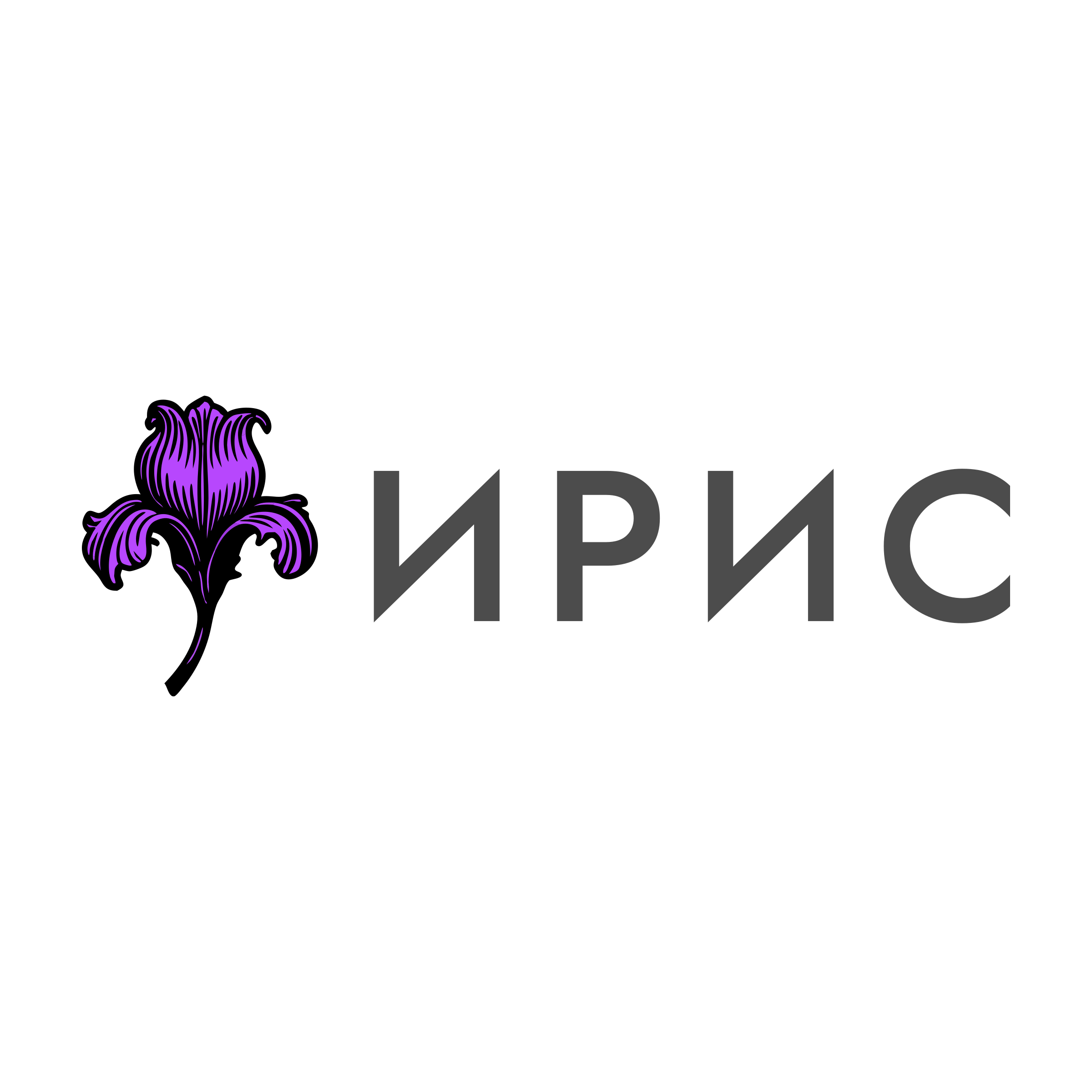 Логотип компании «Ирис»