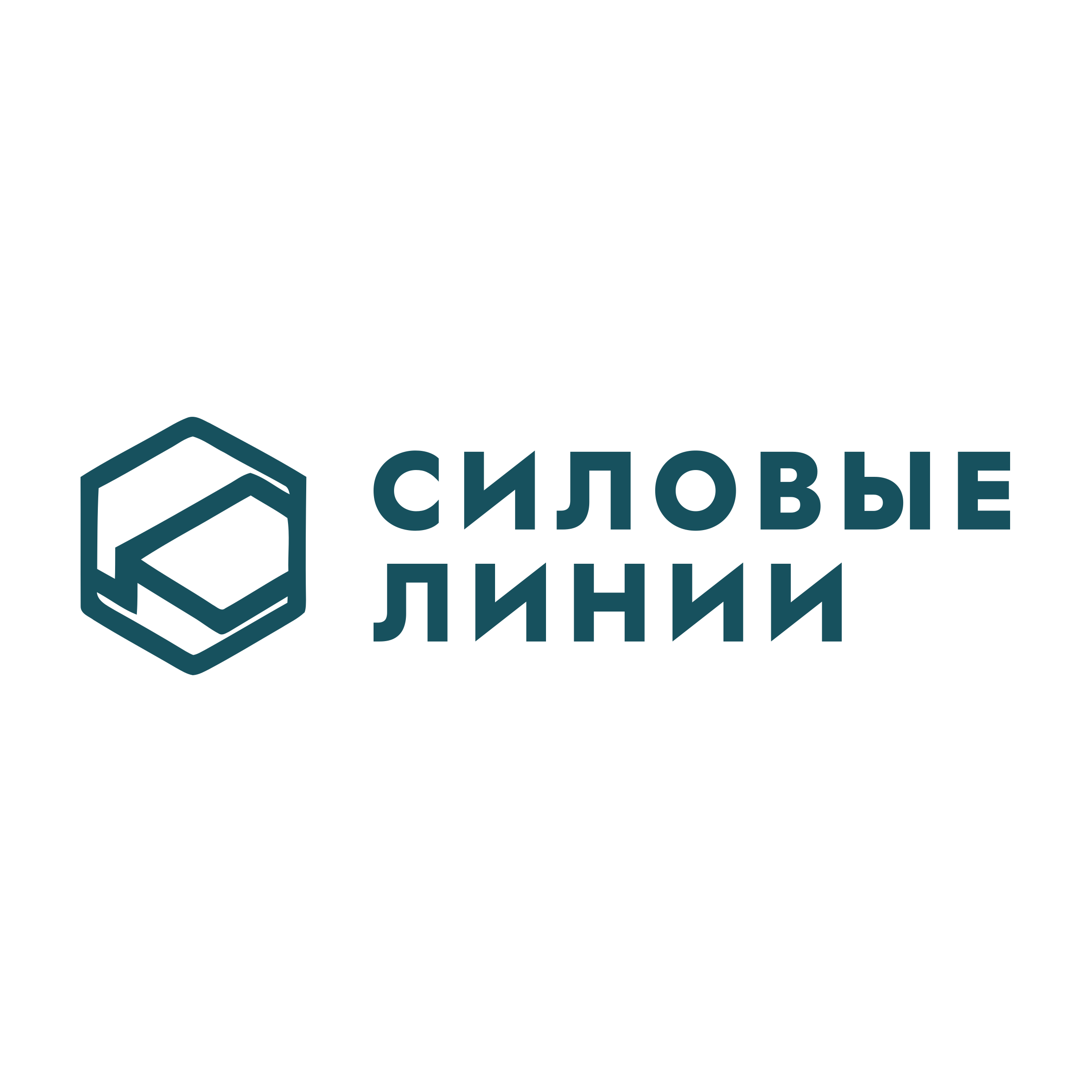 Логотип компании «Силовые линии»