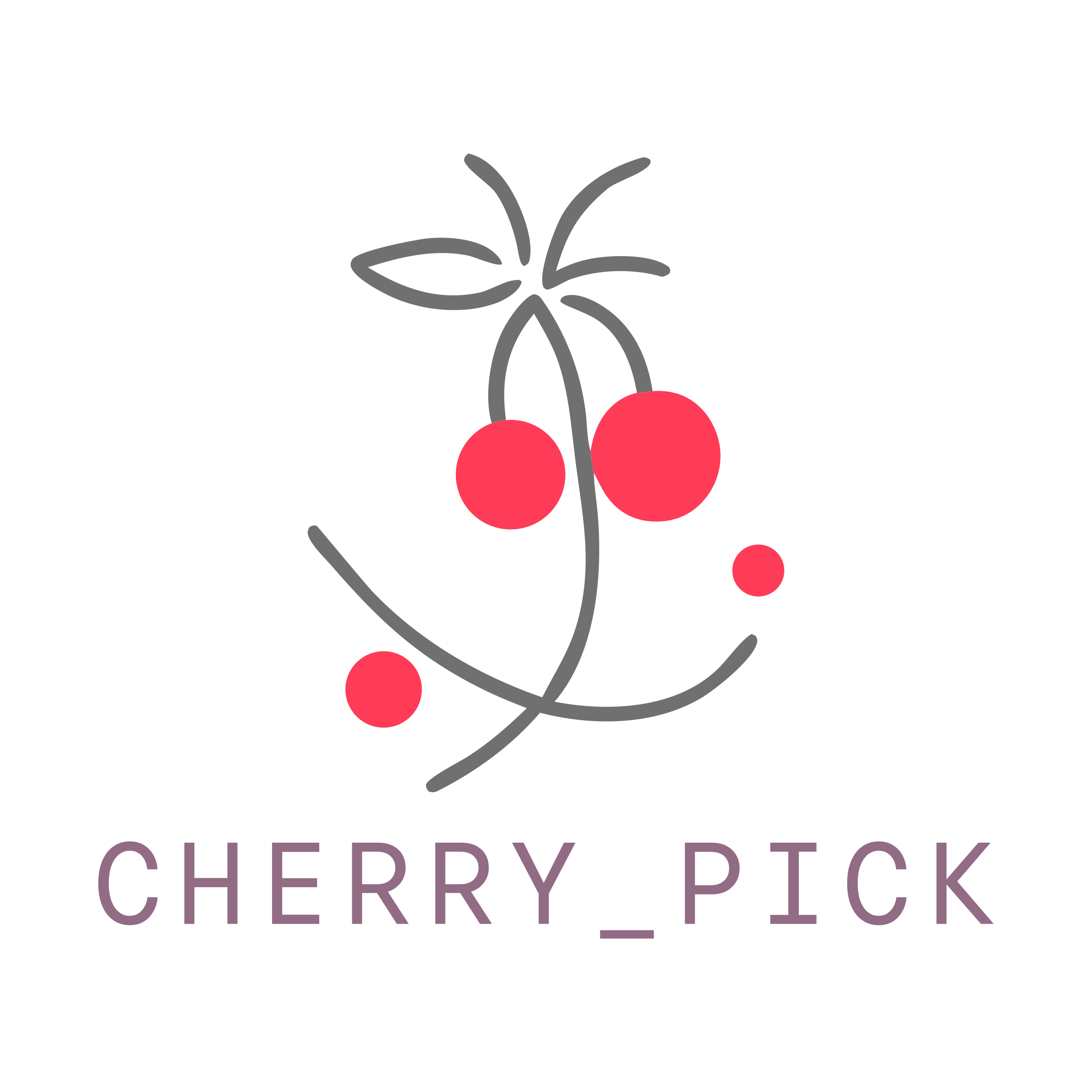 Company logo «Cherry_Pick»