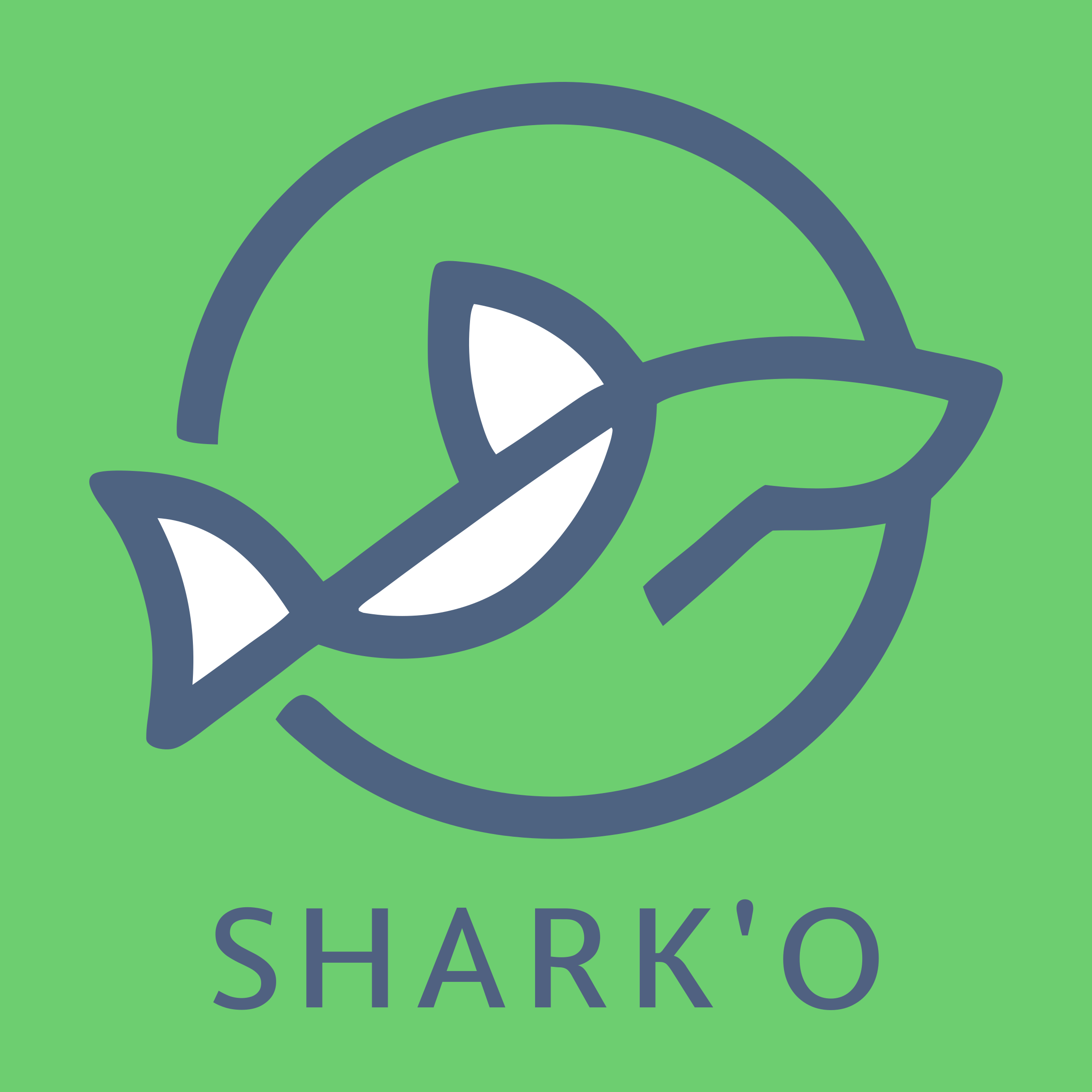 Company logo «SHARK'O»