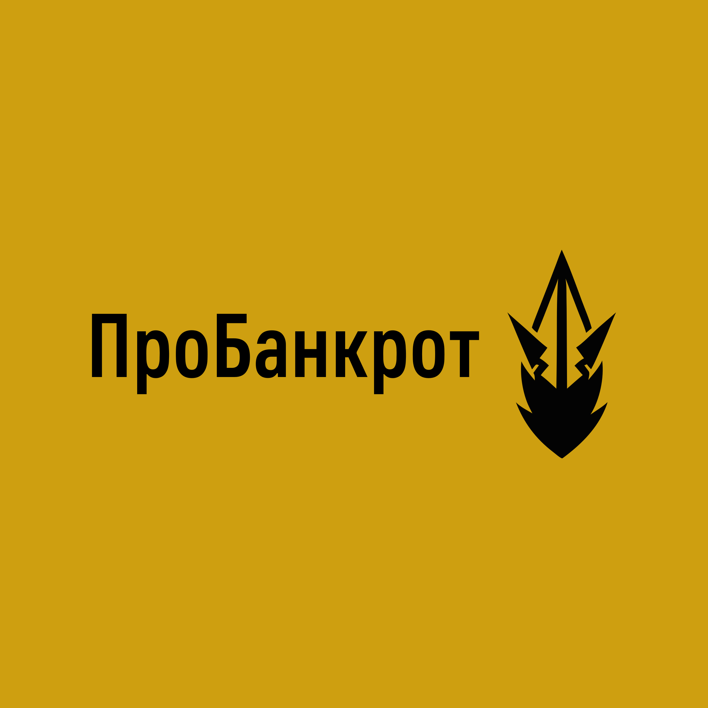 Логотип компании «ПроБанкрот»