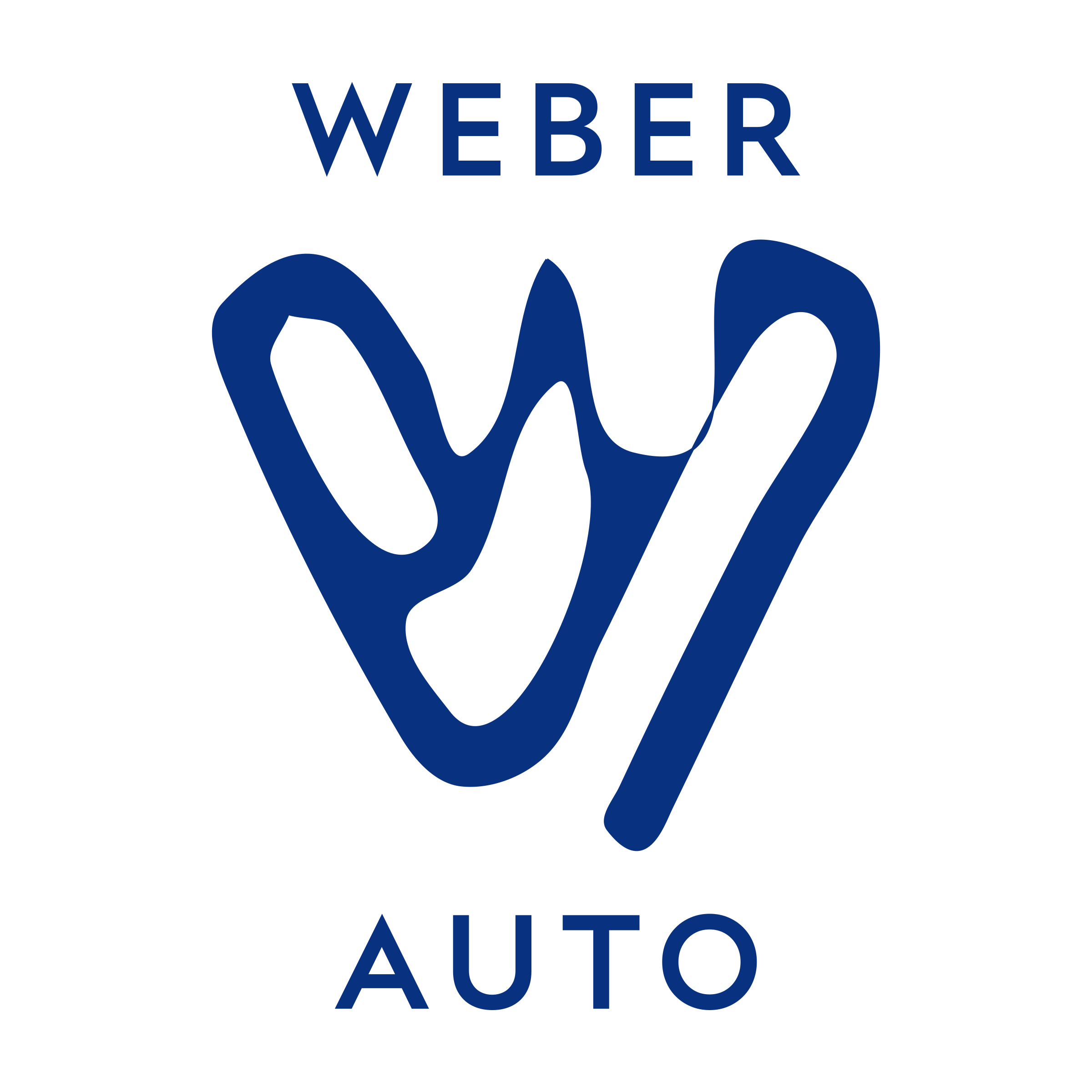 Логотип компании «WEBER AUTO»