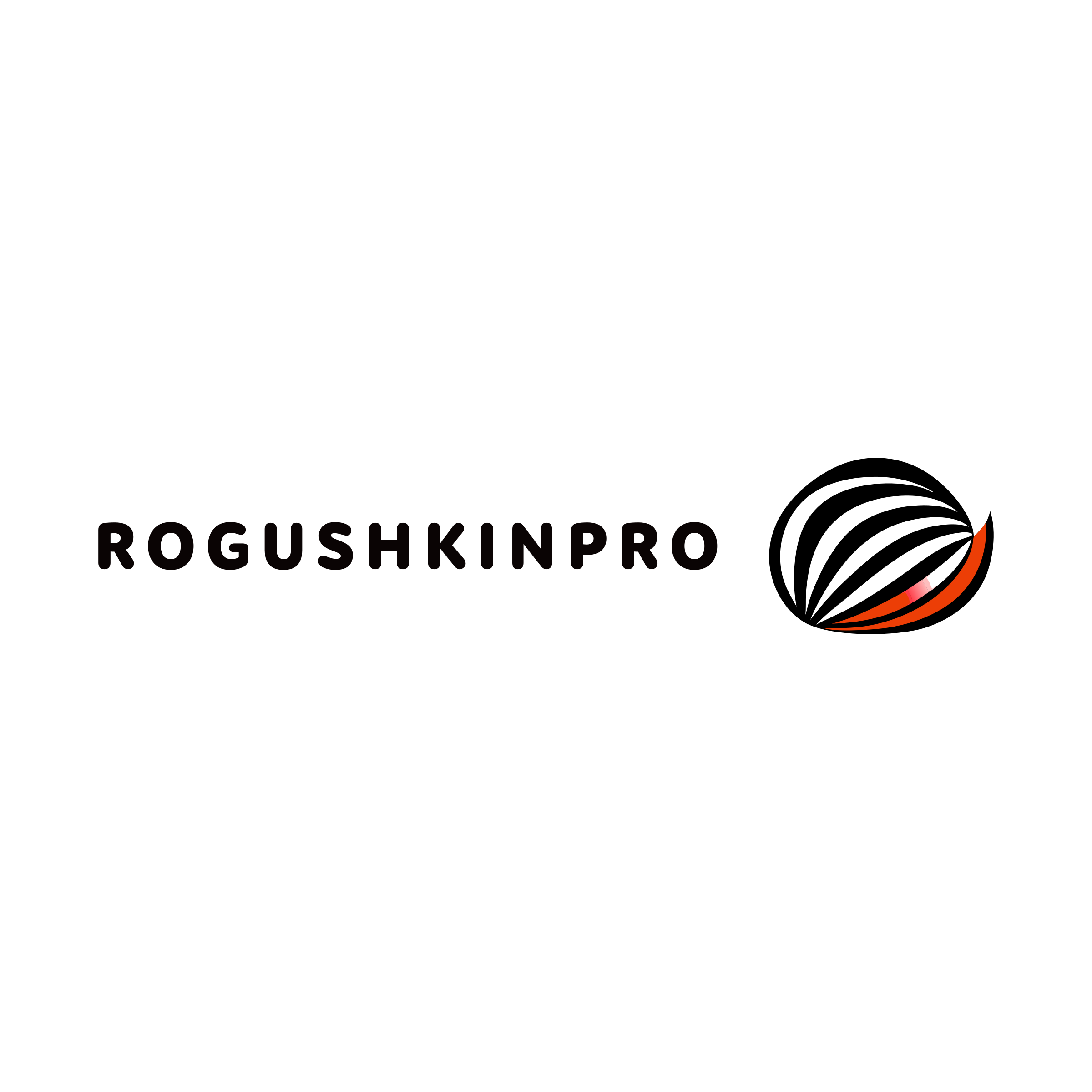 Логотип компании «RogushkinPro»