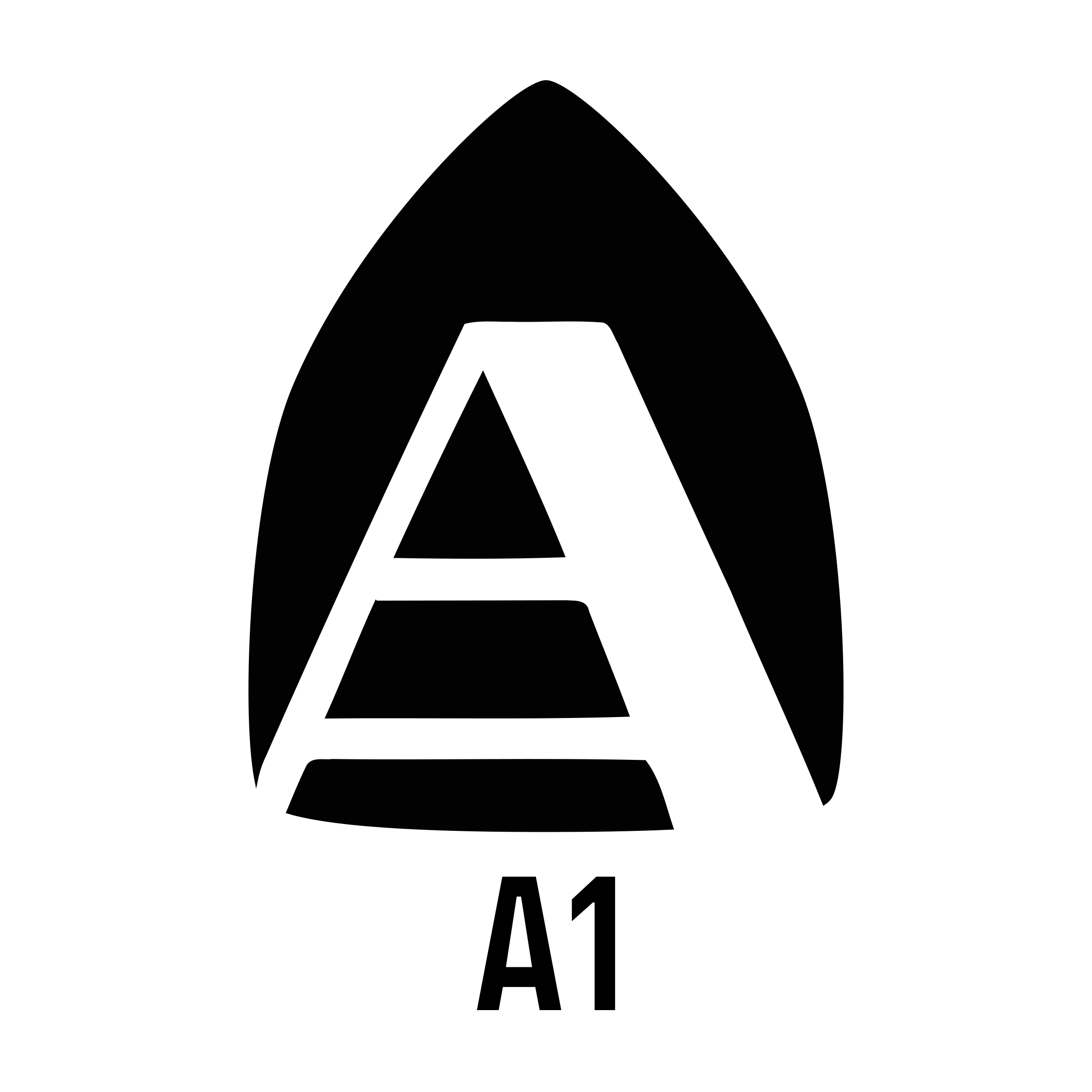 Company logo «A1»