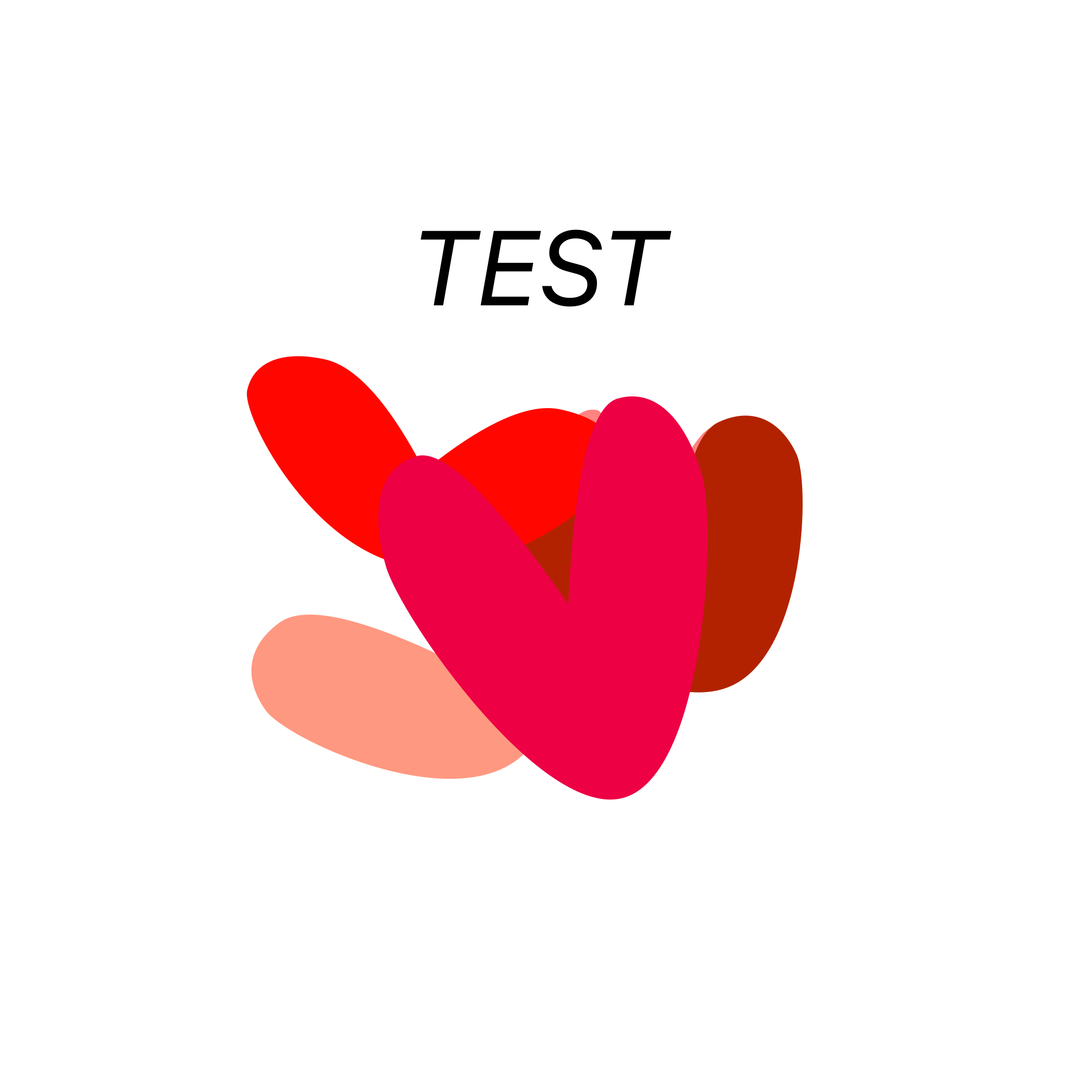 Company logo «TEST»