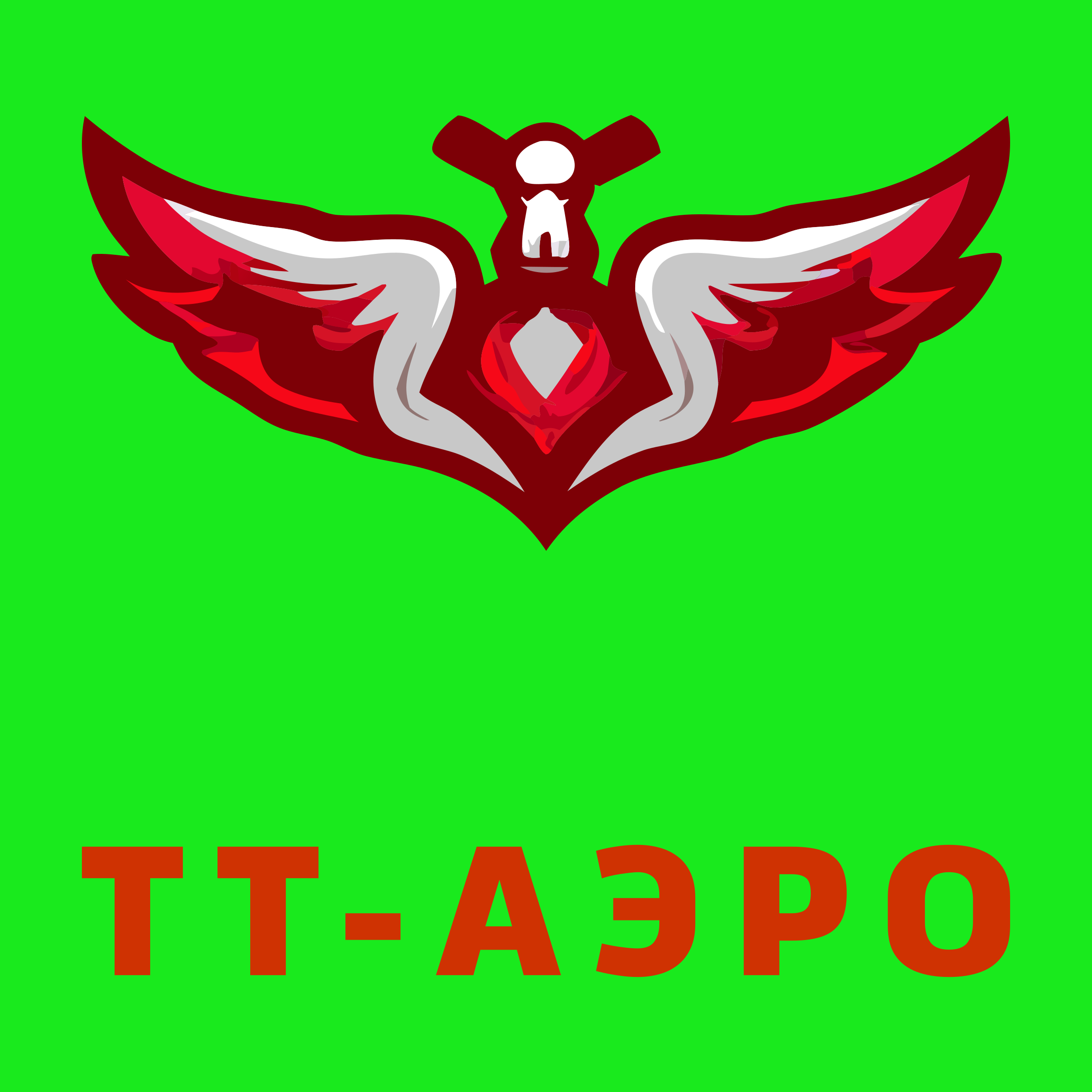 Логотип компании «ТТ-Аэро»