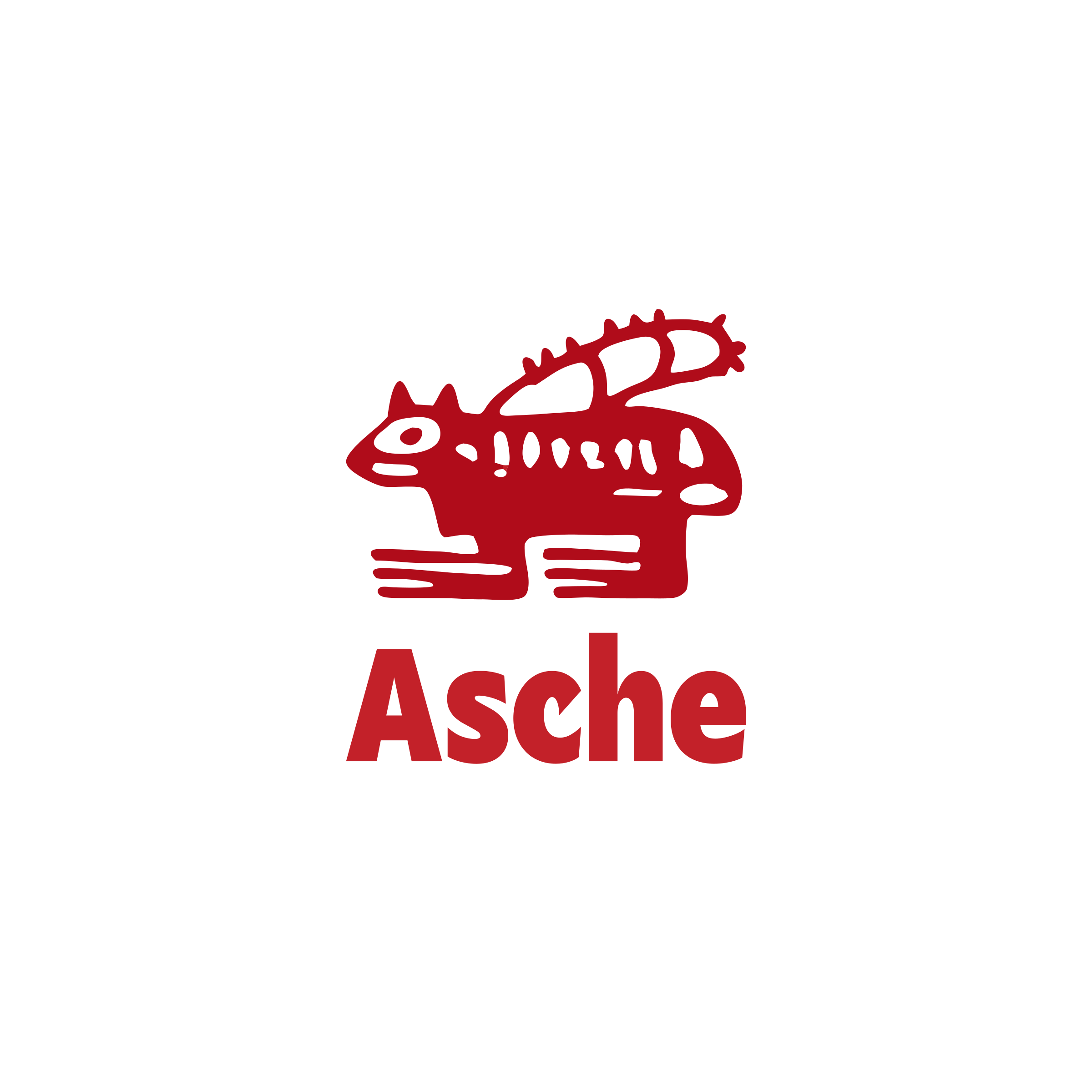 Логотип компании «Asche»