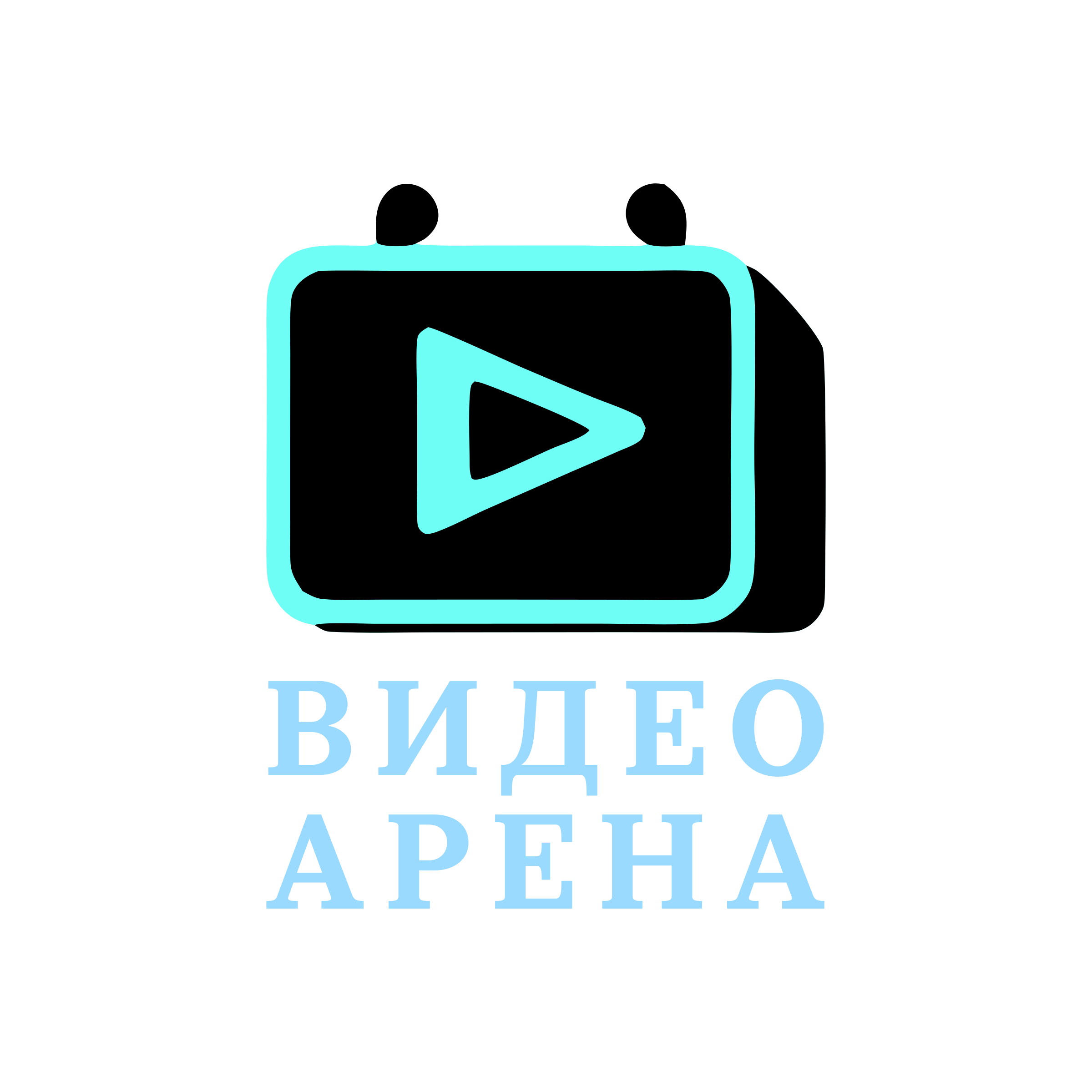 Логотип компании «Видео Арена»