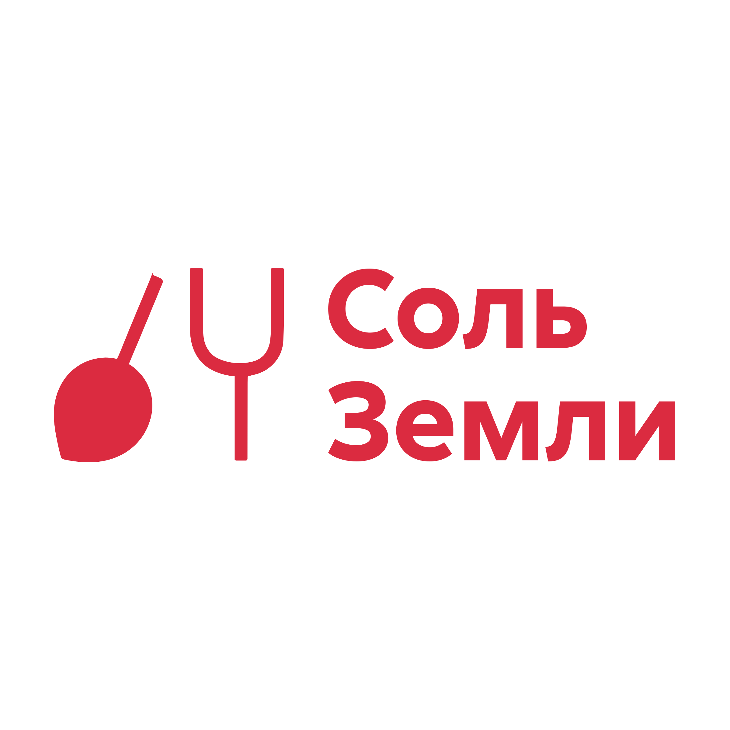 Логотип компании «Соль Земли»