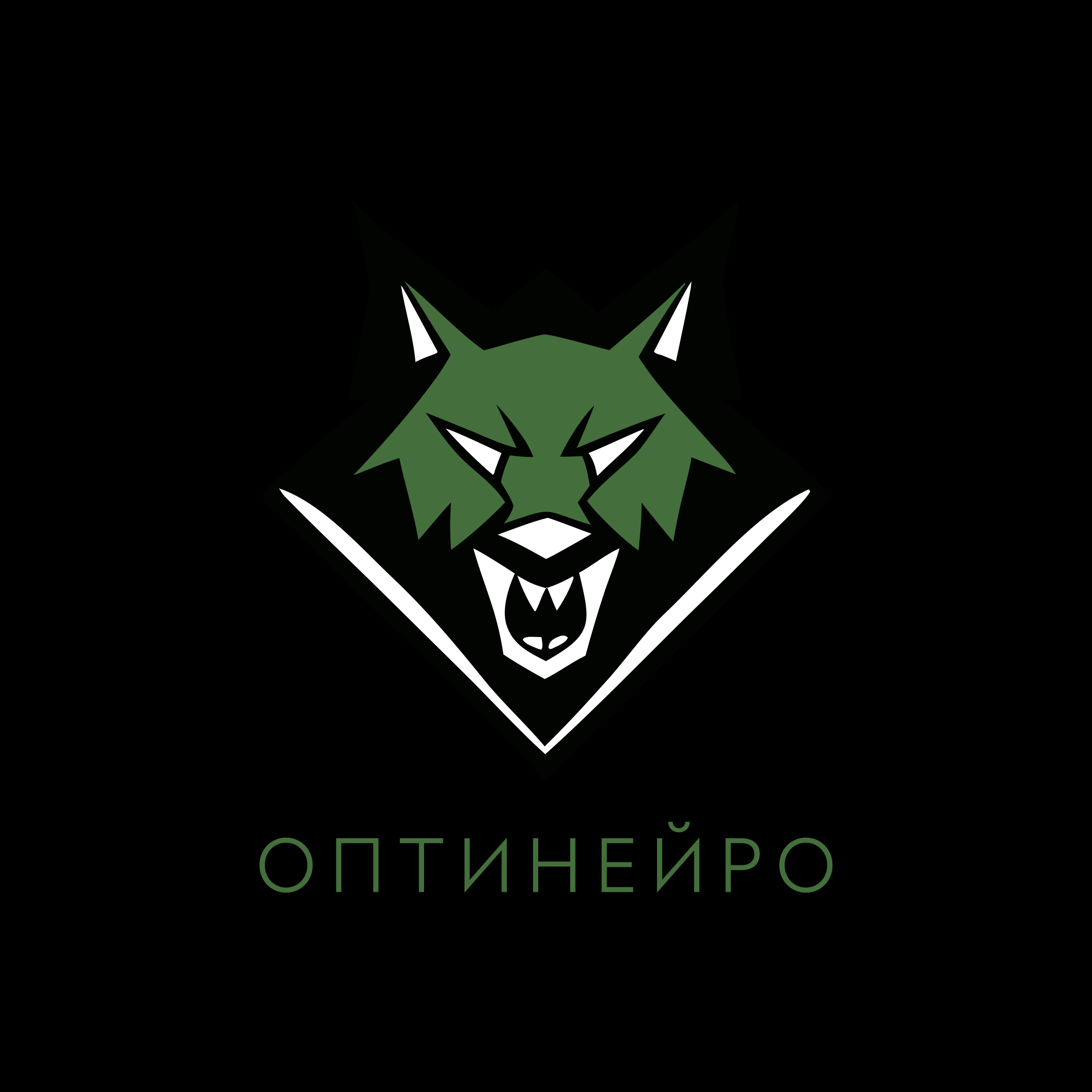 Логотип компании «ОптиНейро»