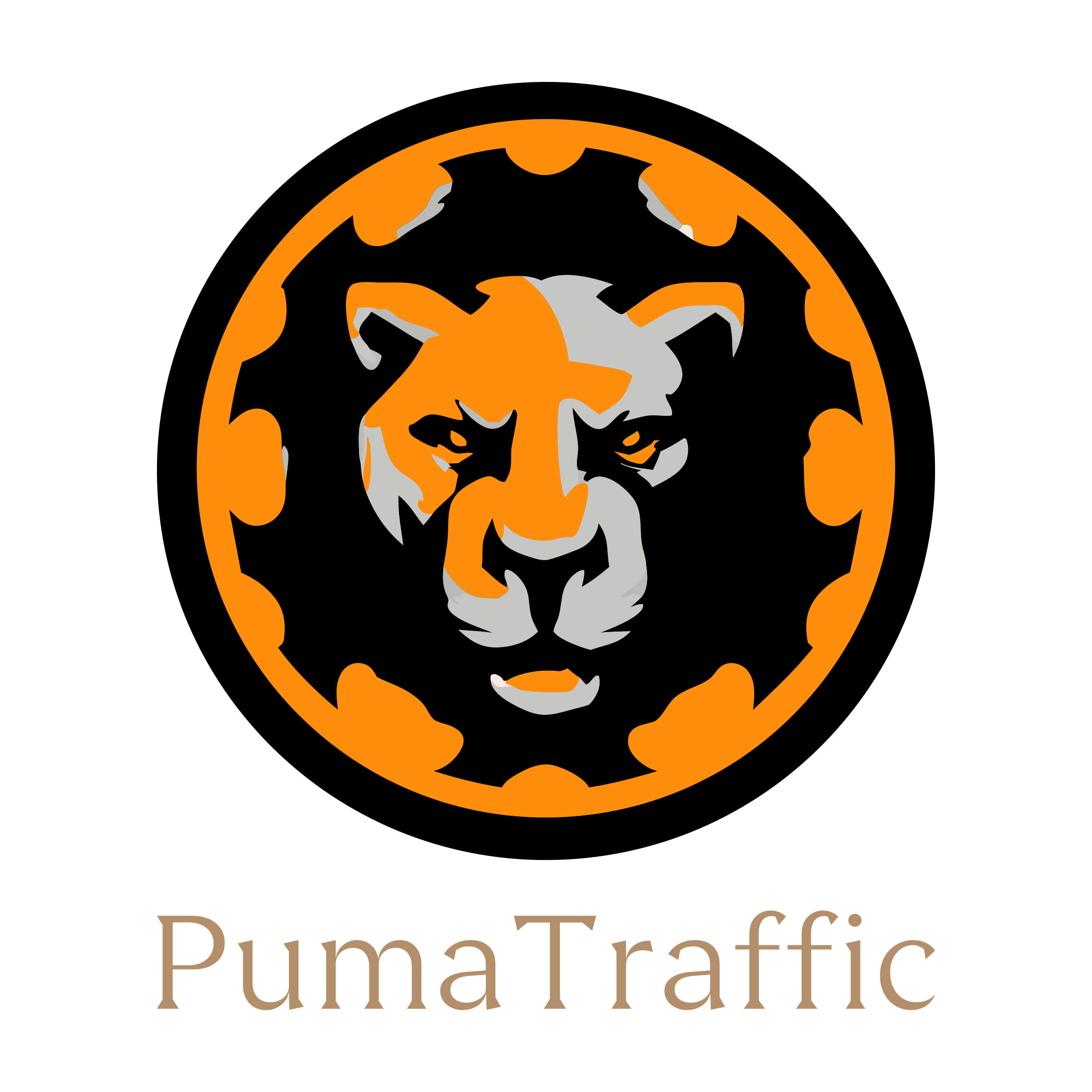 Company logo «PumaTraffic»