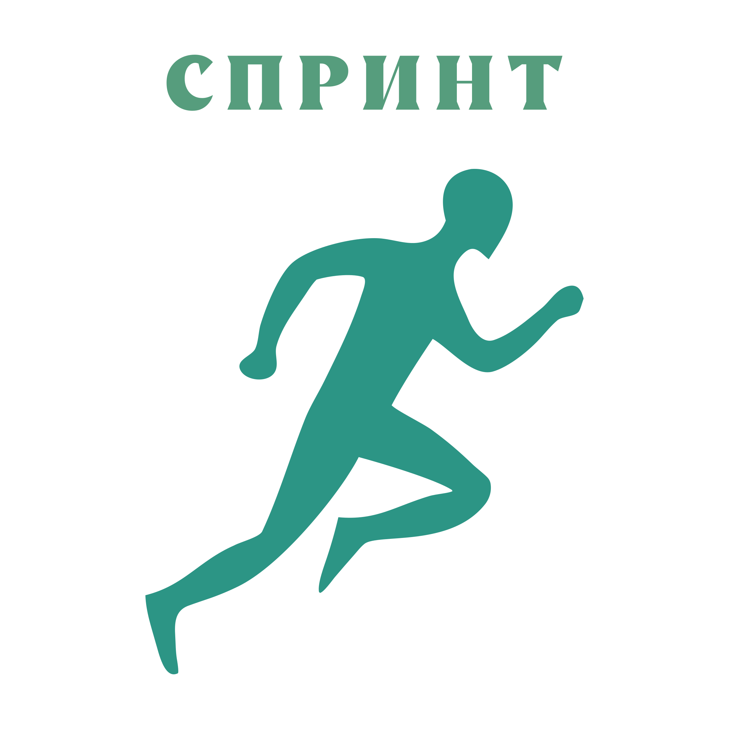 Логотип компании «СПРИНТ»