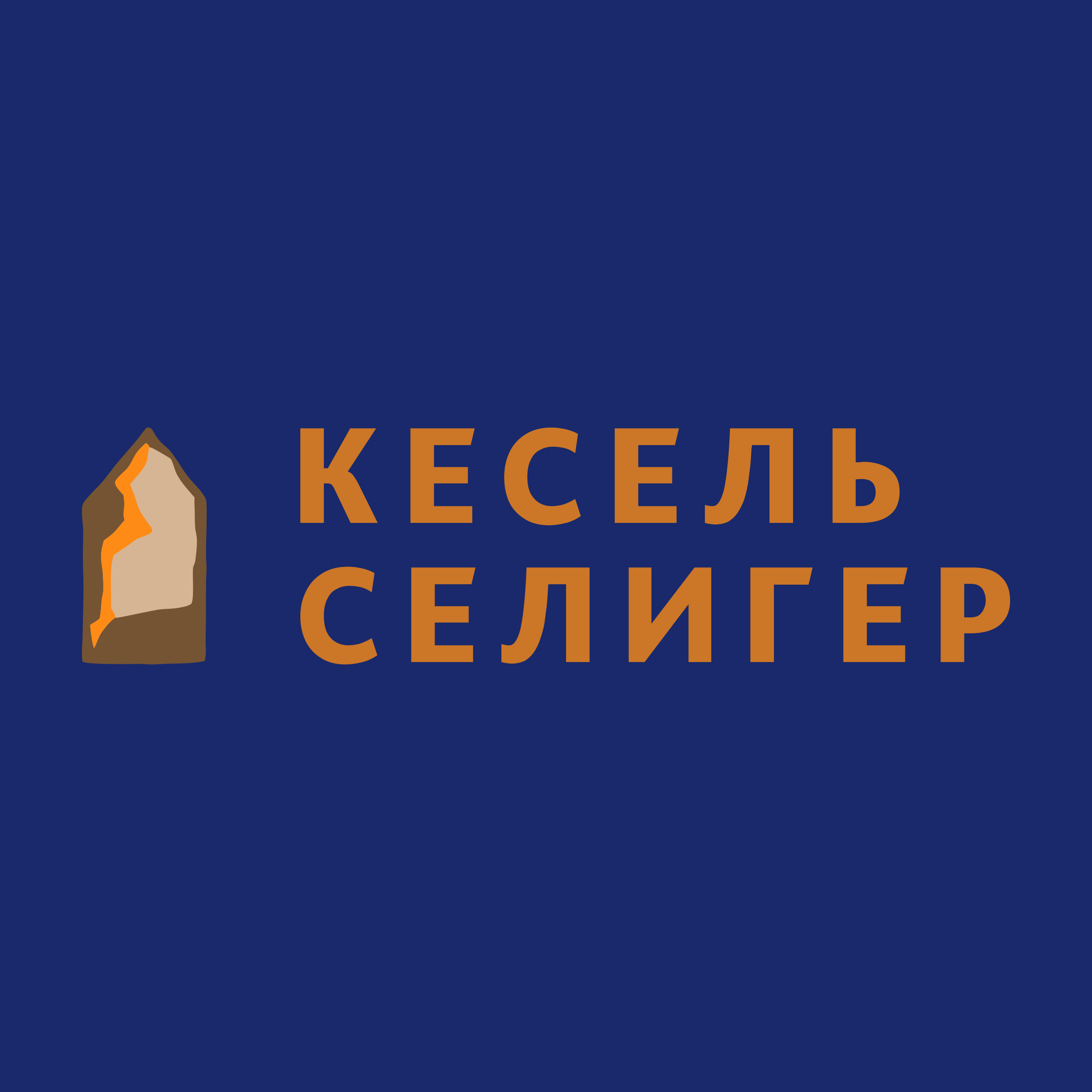 Логотип компании «Кесель Селигер»