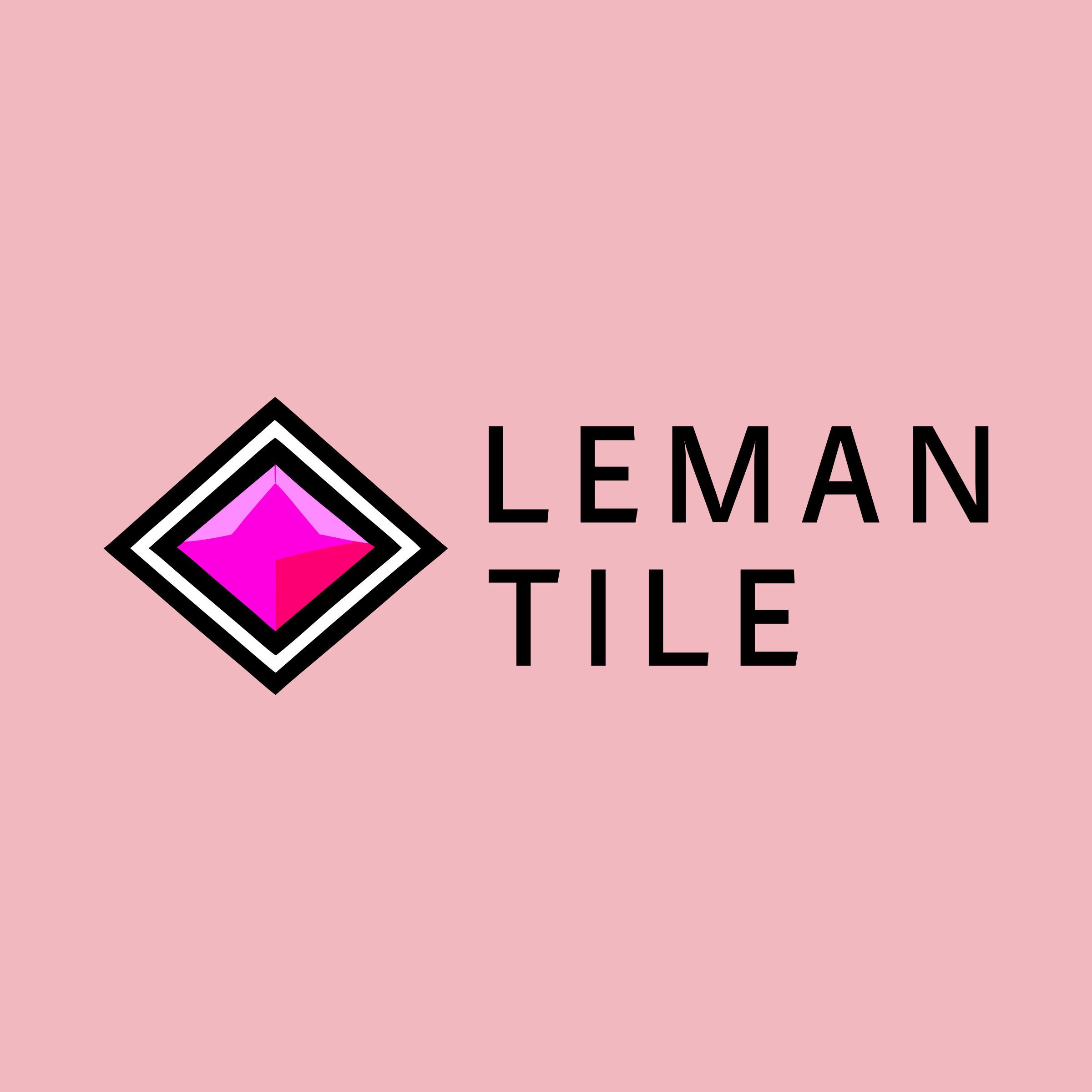 Company logo «Leman Tile»