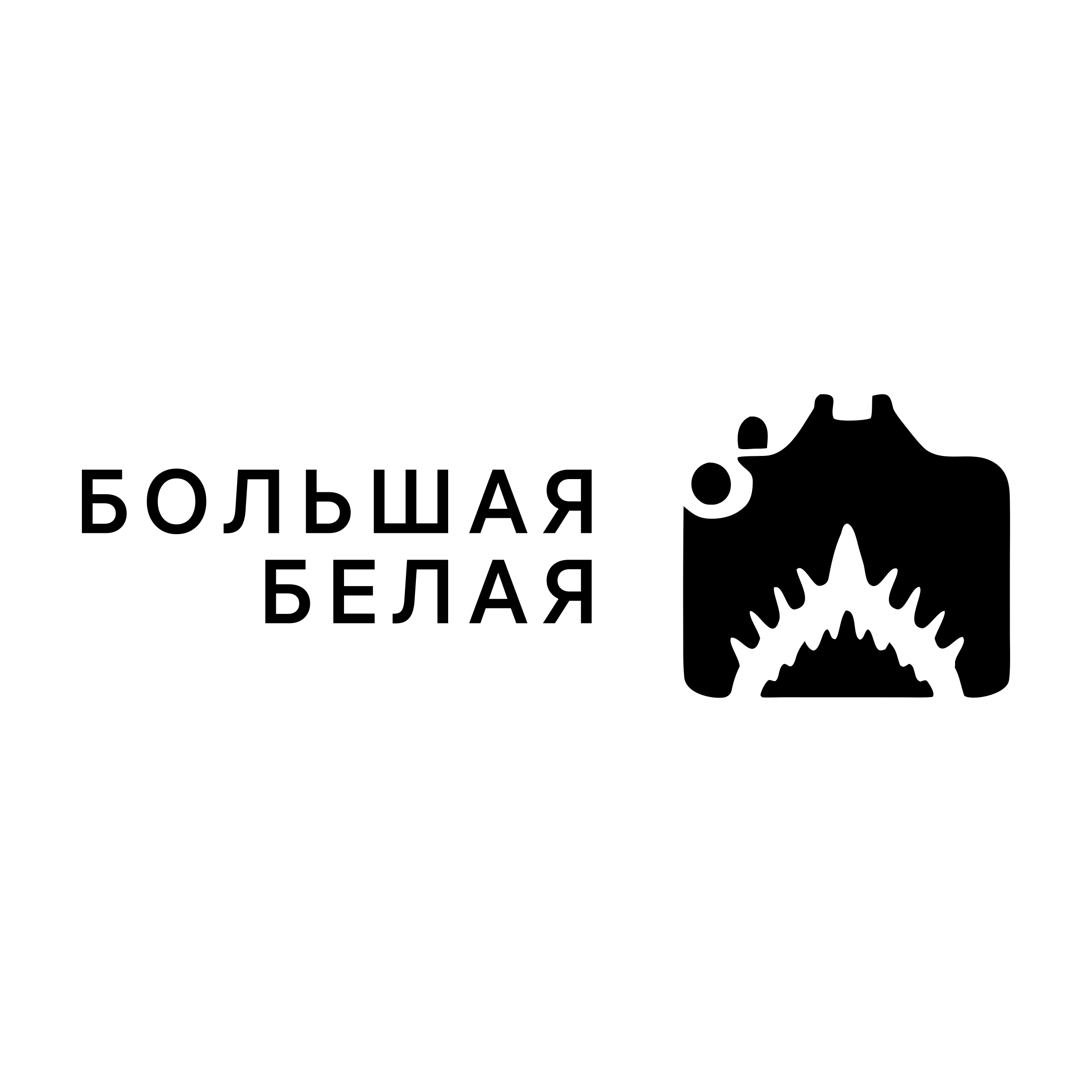 Логотип компании «Большая Белая»
