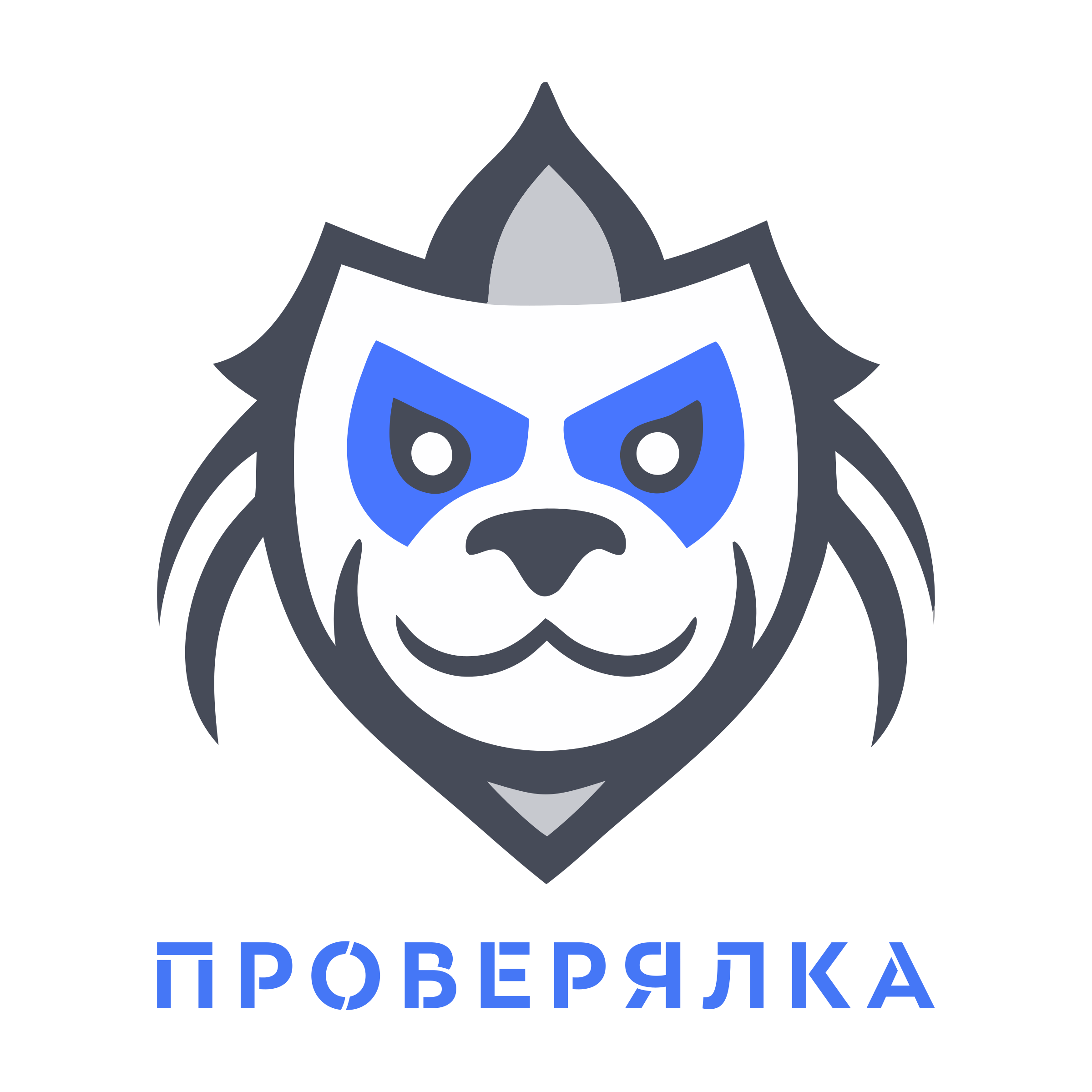 Логотип компании «Проверялка»