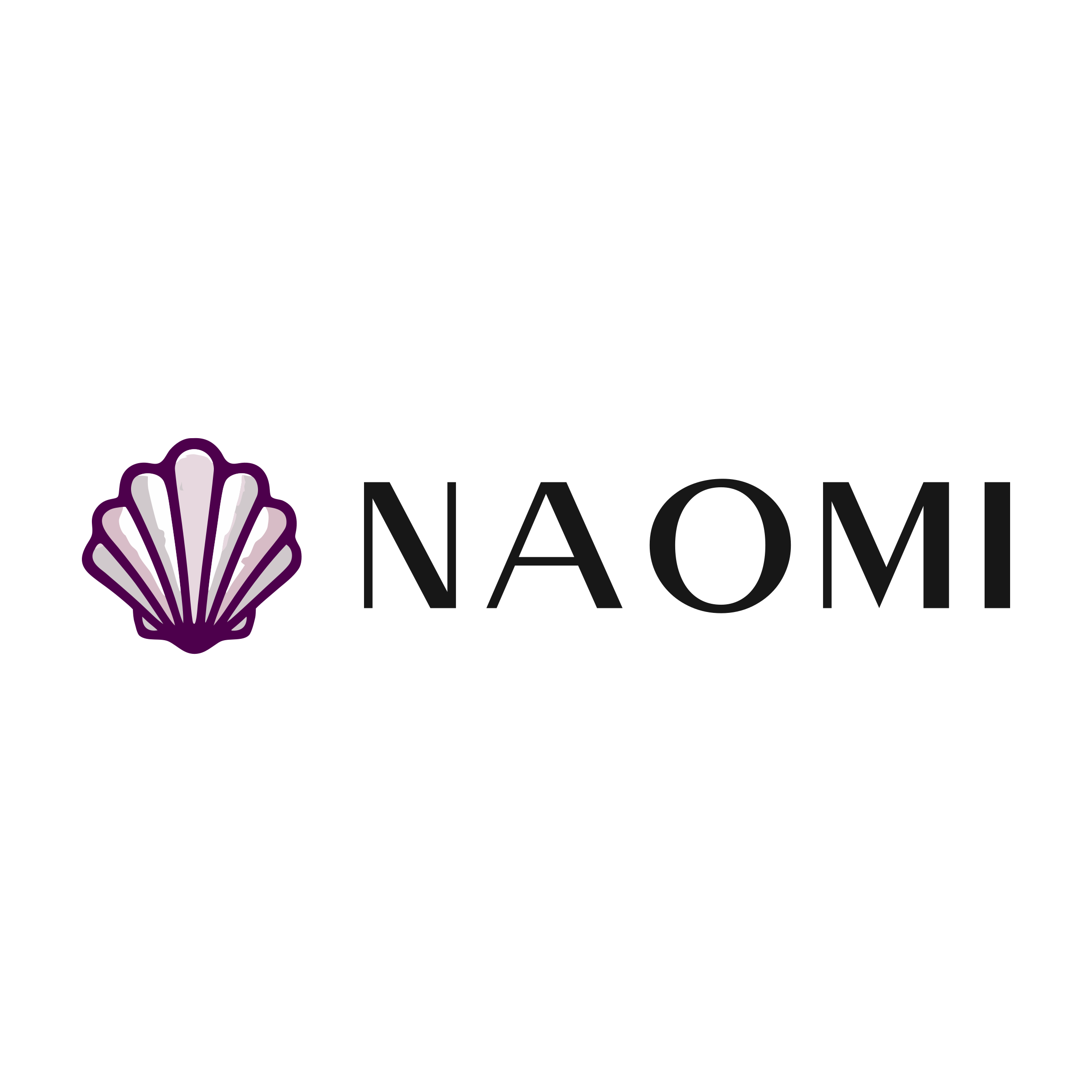 Company logo «NAOMI»