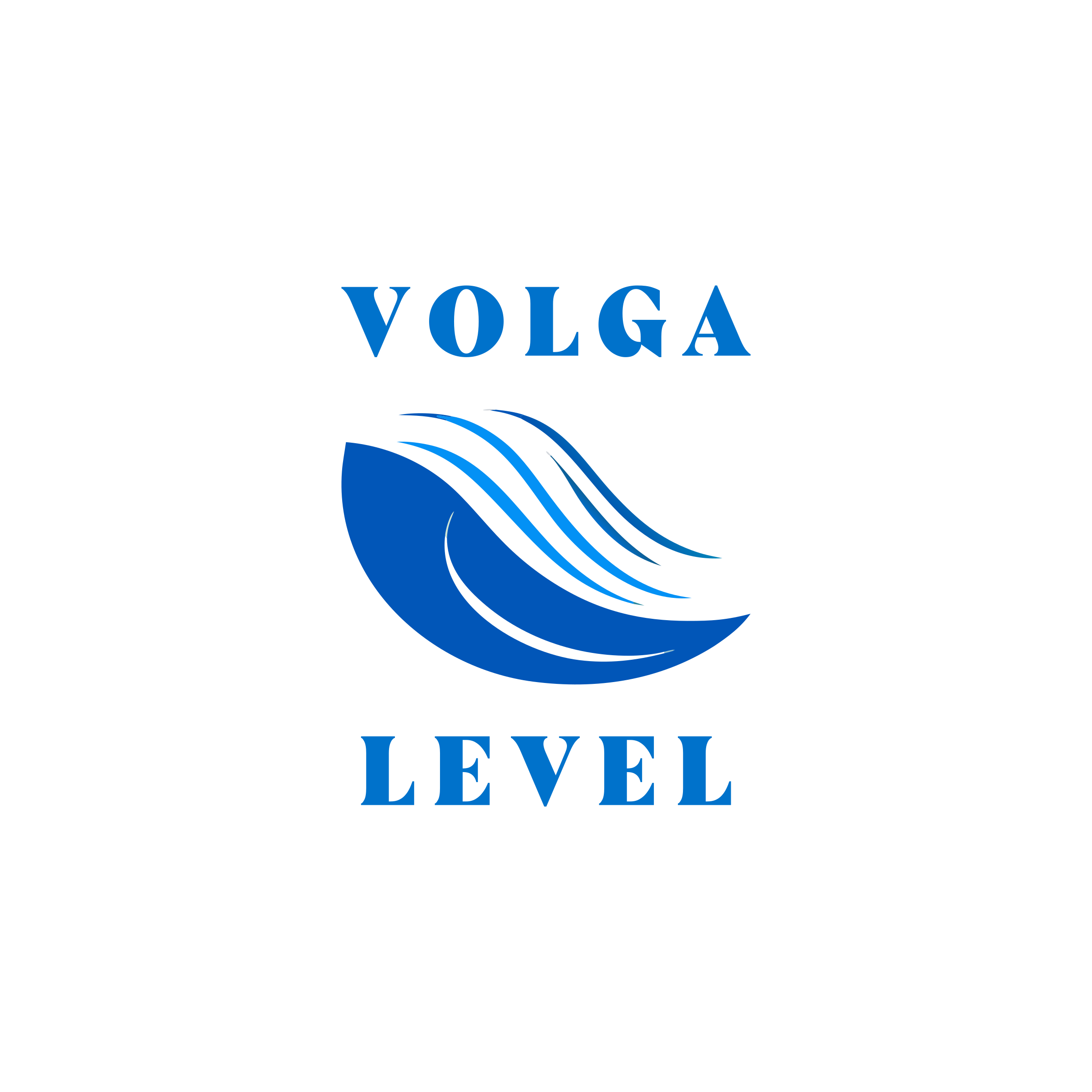 Логотип компании «Volga Level»