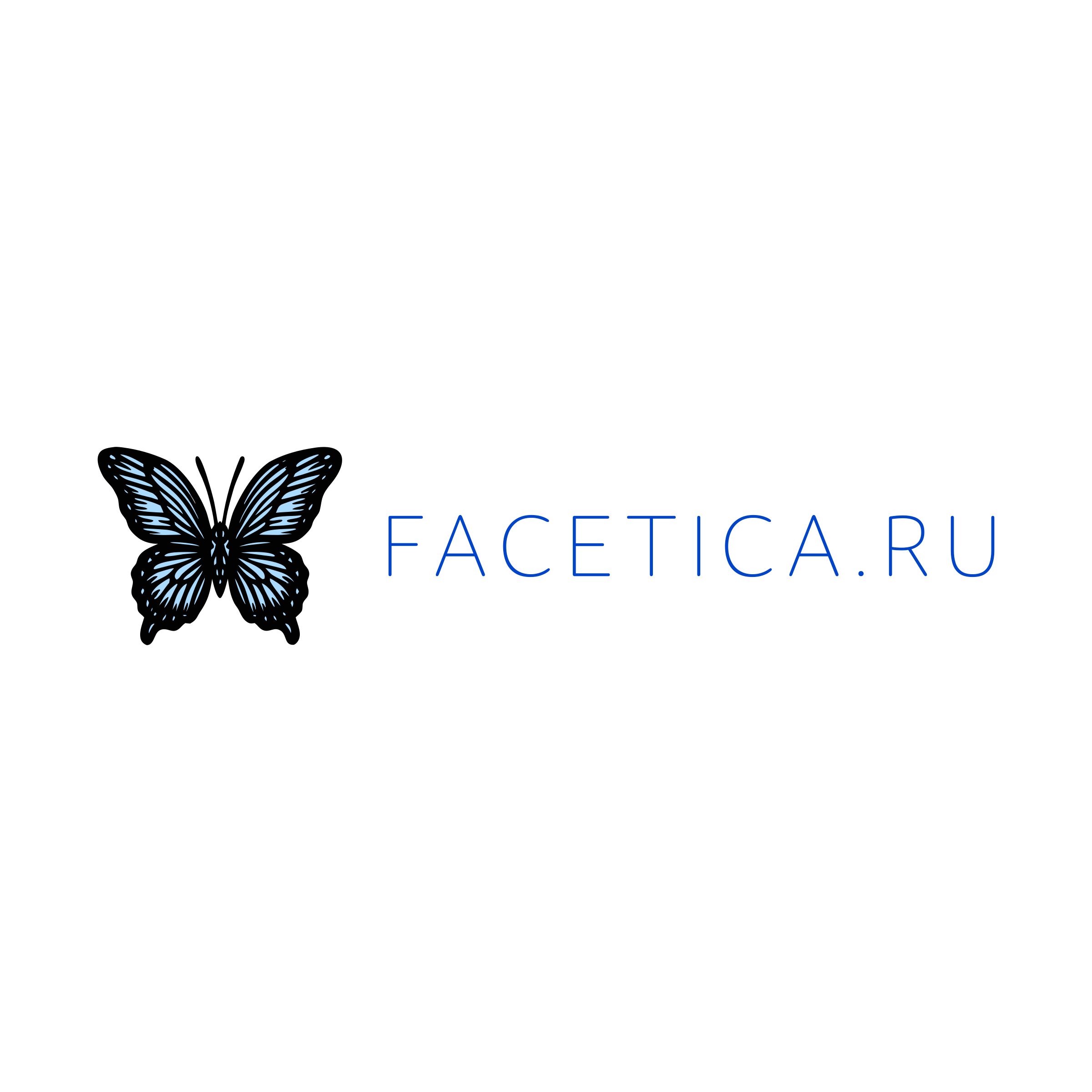 Логотип компании «facetica.ru»