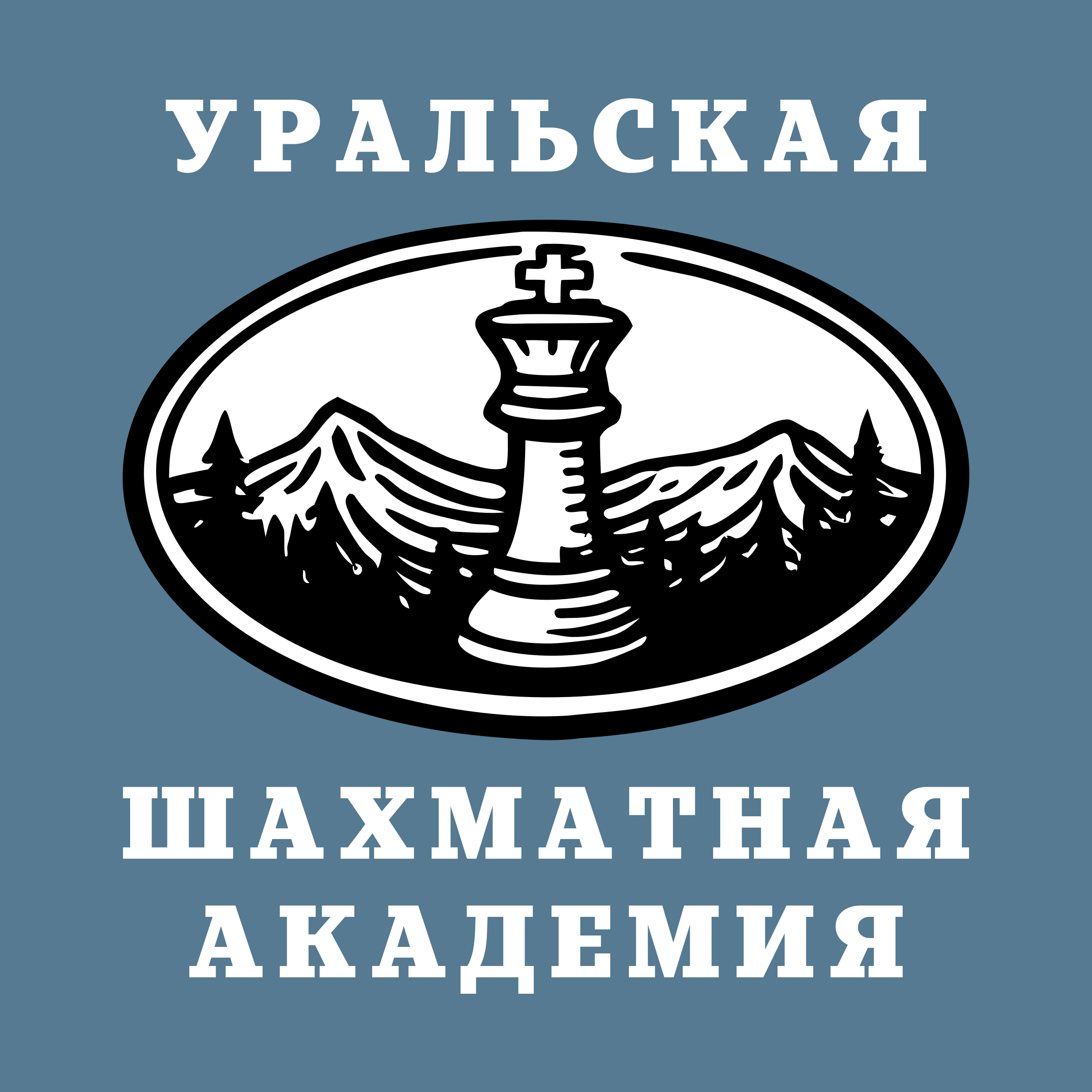Логотип компании «Уральская шахматная академия»