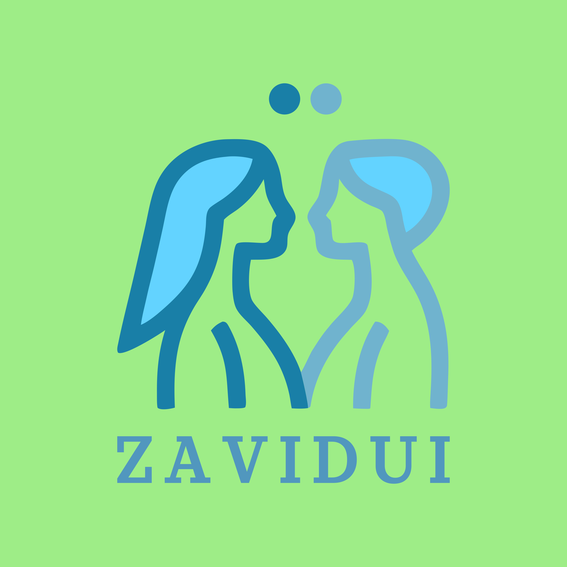 Company logo «zavidui»