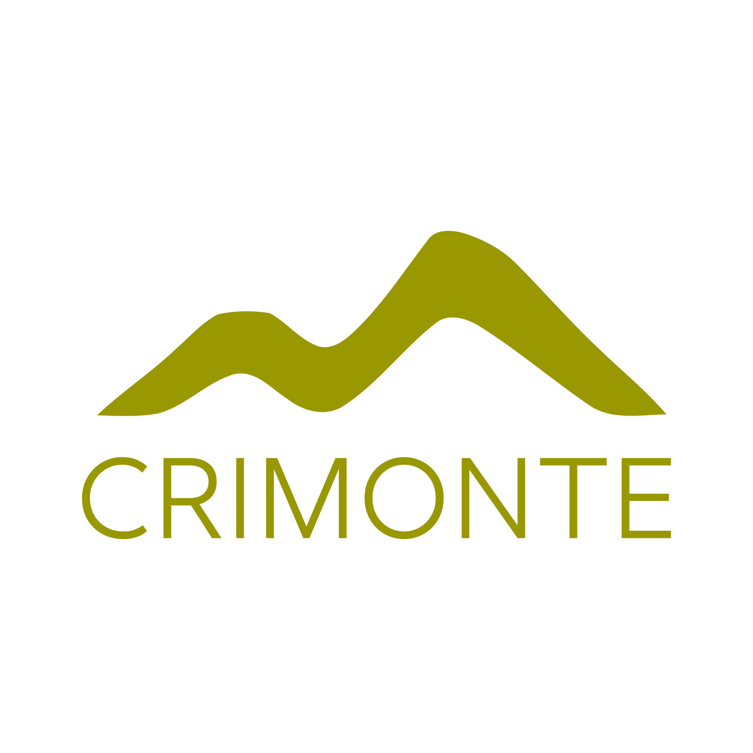 Логотип компании «CRIMONTE»