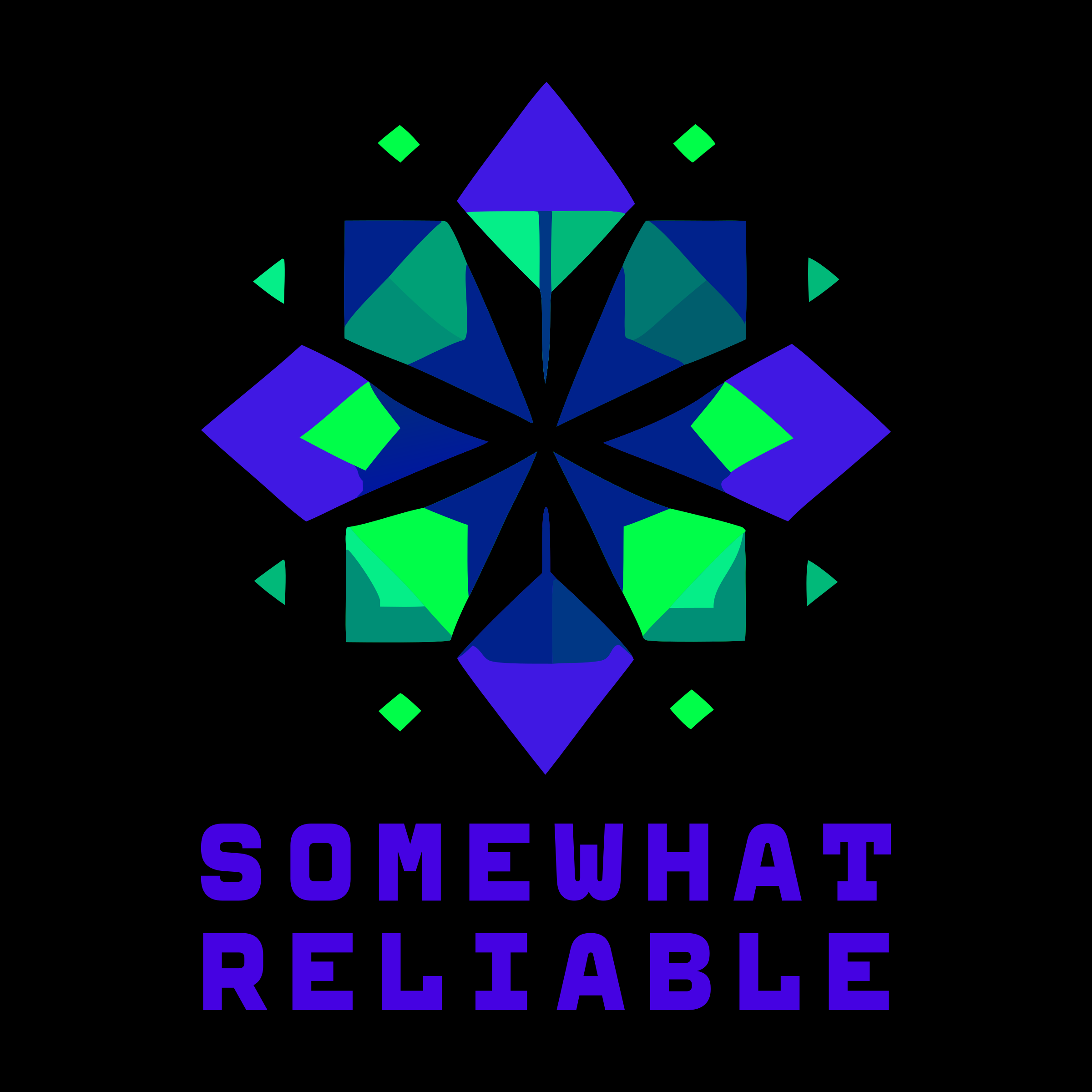 Логотип компании «Somewhat Reliable»