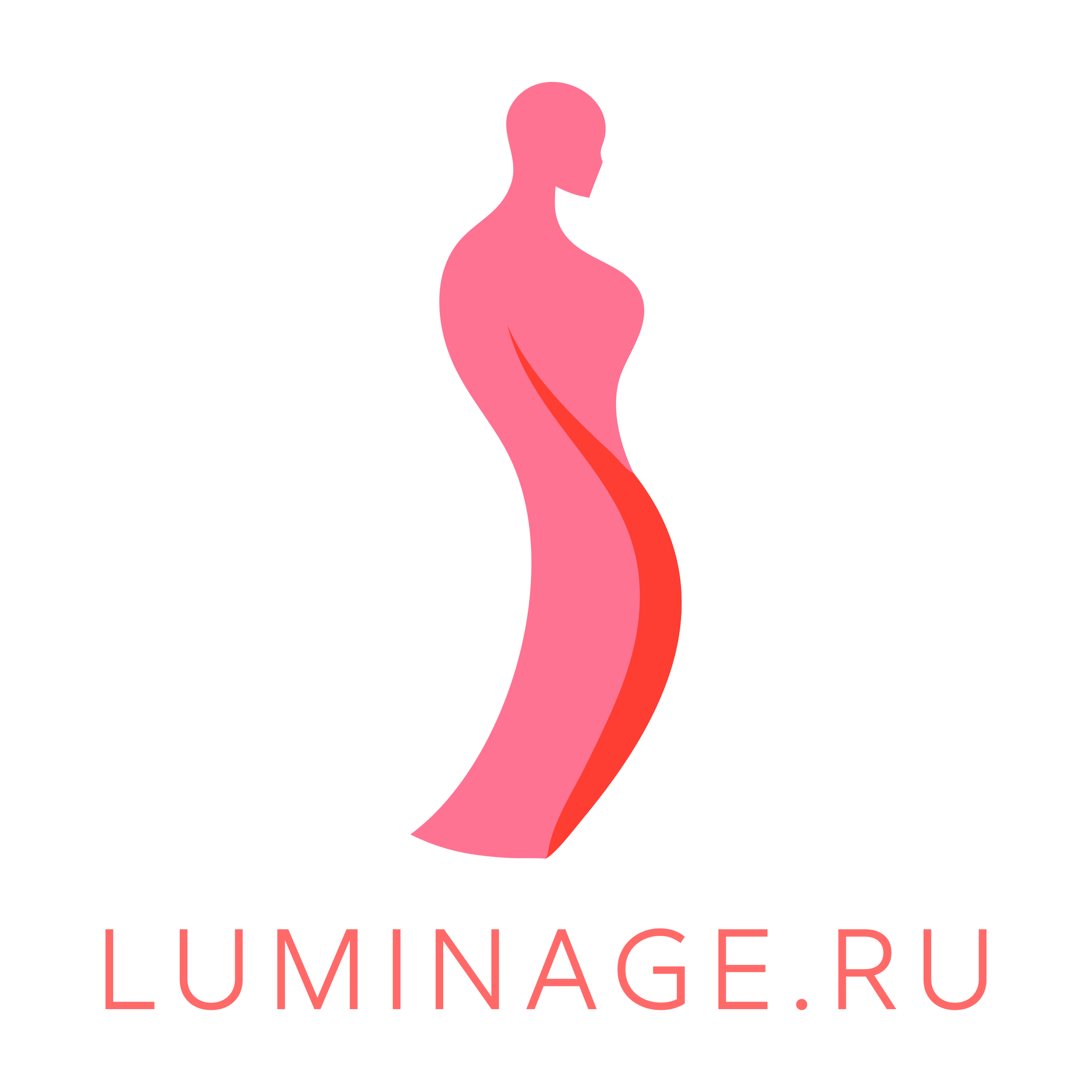 Company logo «luminage.ru»