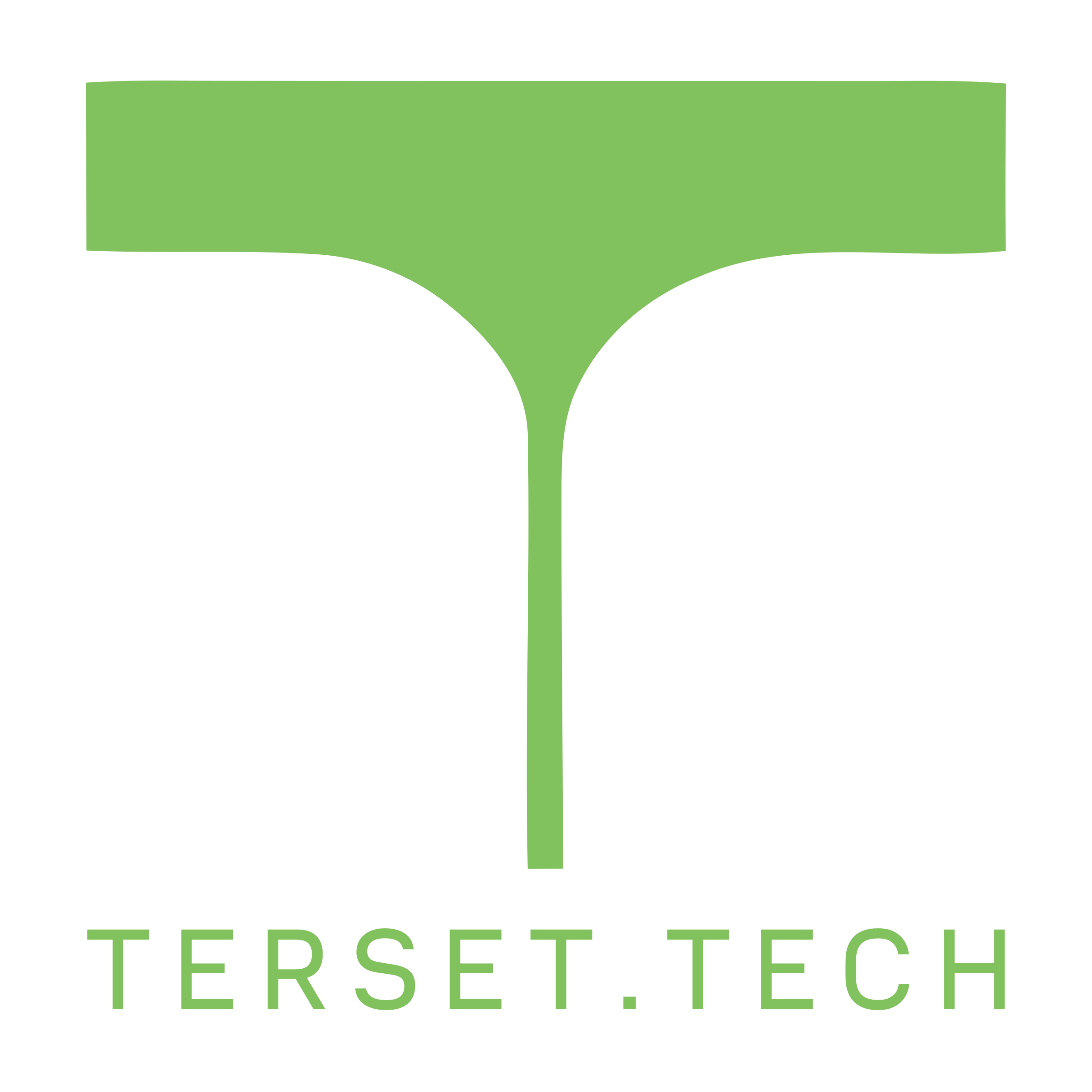 Логотип компании «TERSET.TECH»