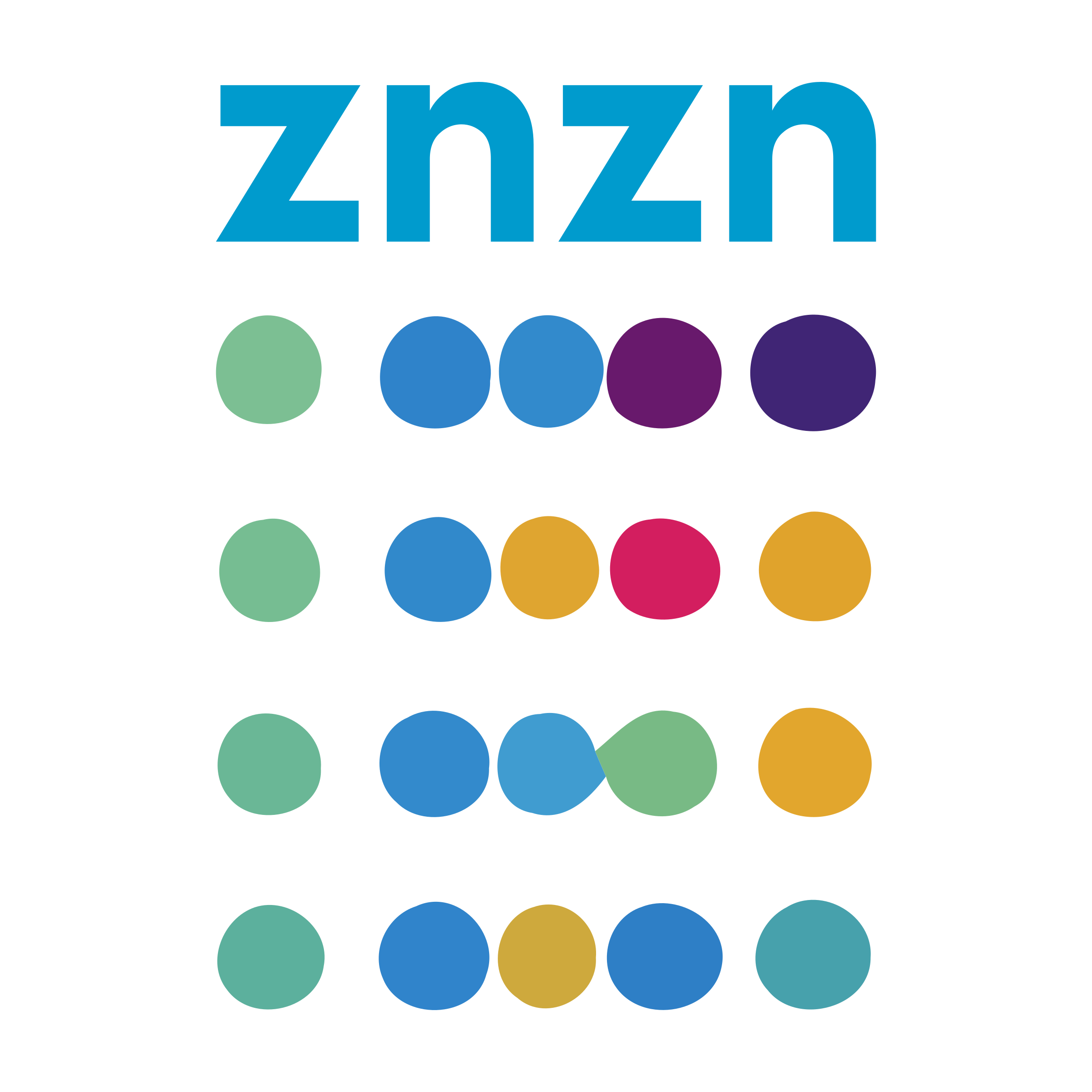 Company logo «znzn»