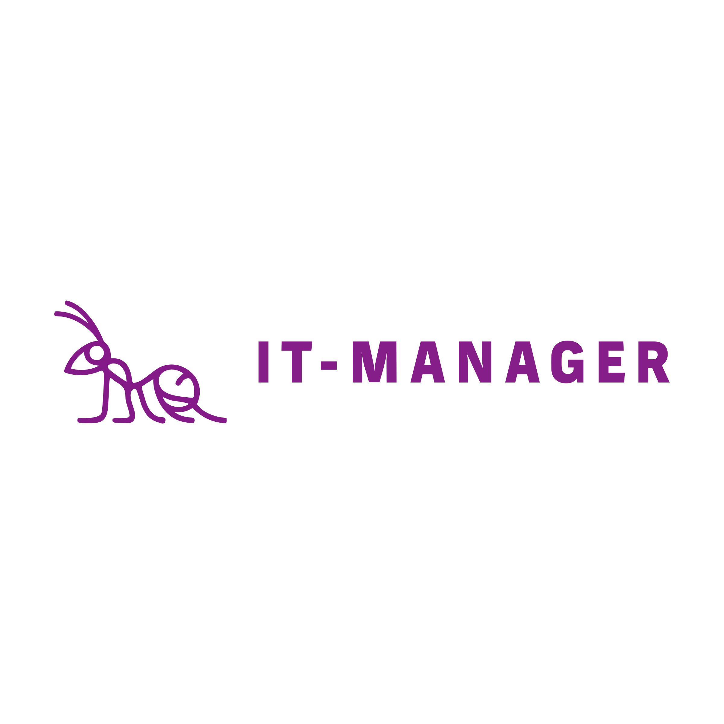 Логотип компании «iT-Manager»