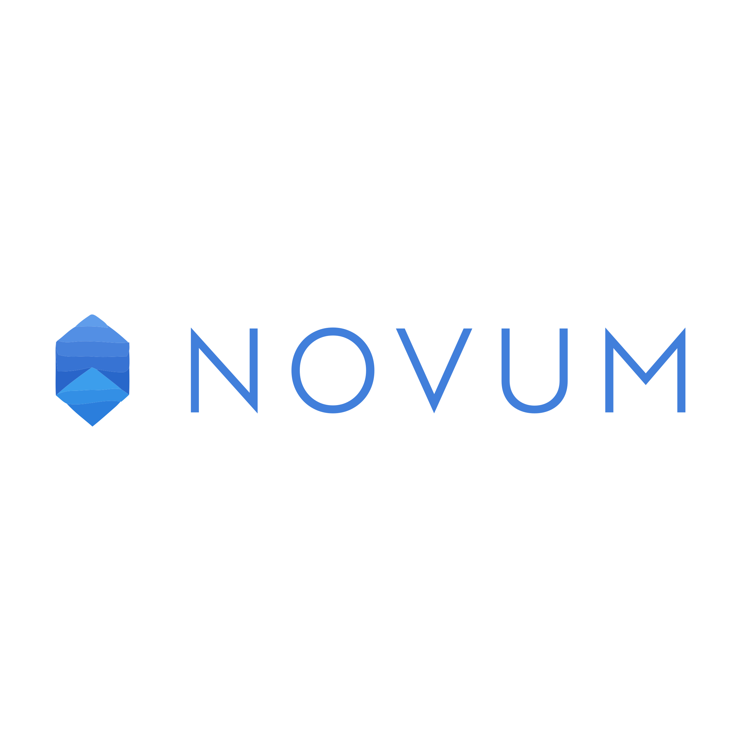 Company logo «Novum»