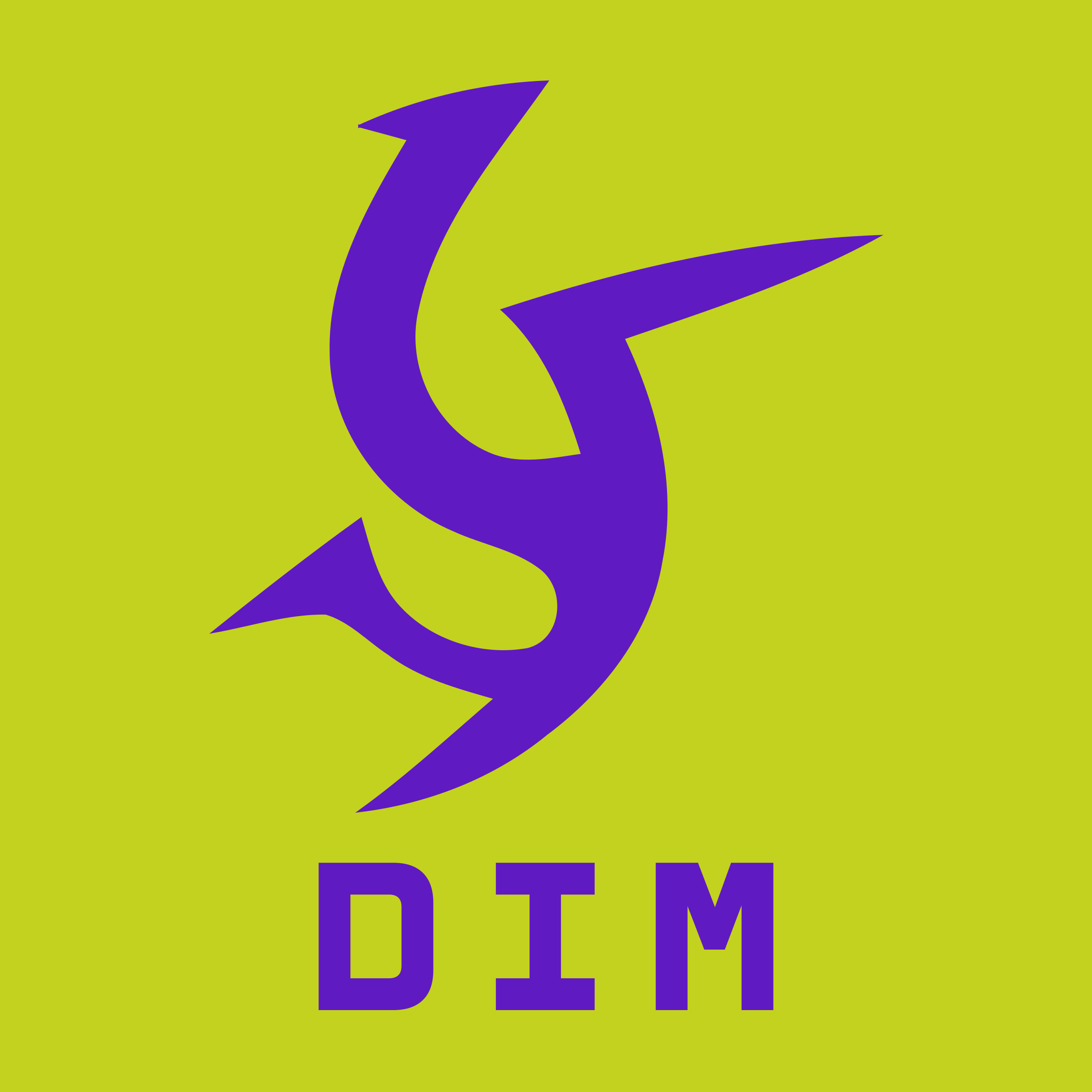Company logo «DiM»