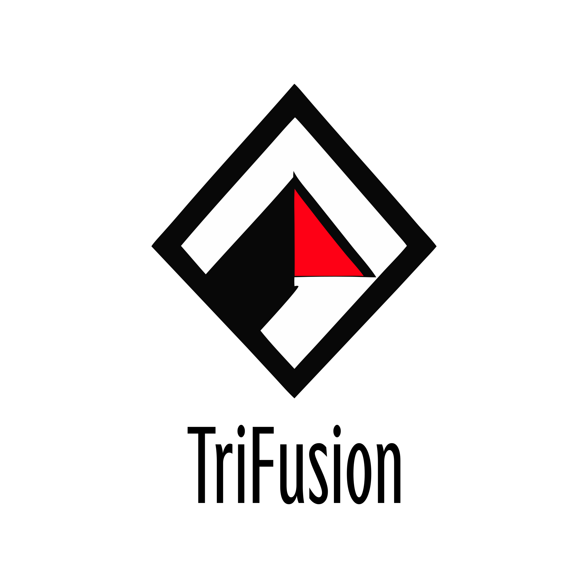 Логотип компании «TriFusion»