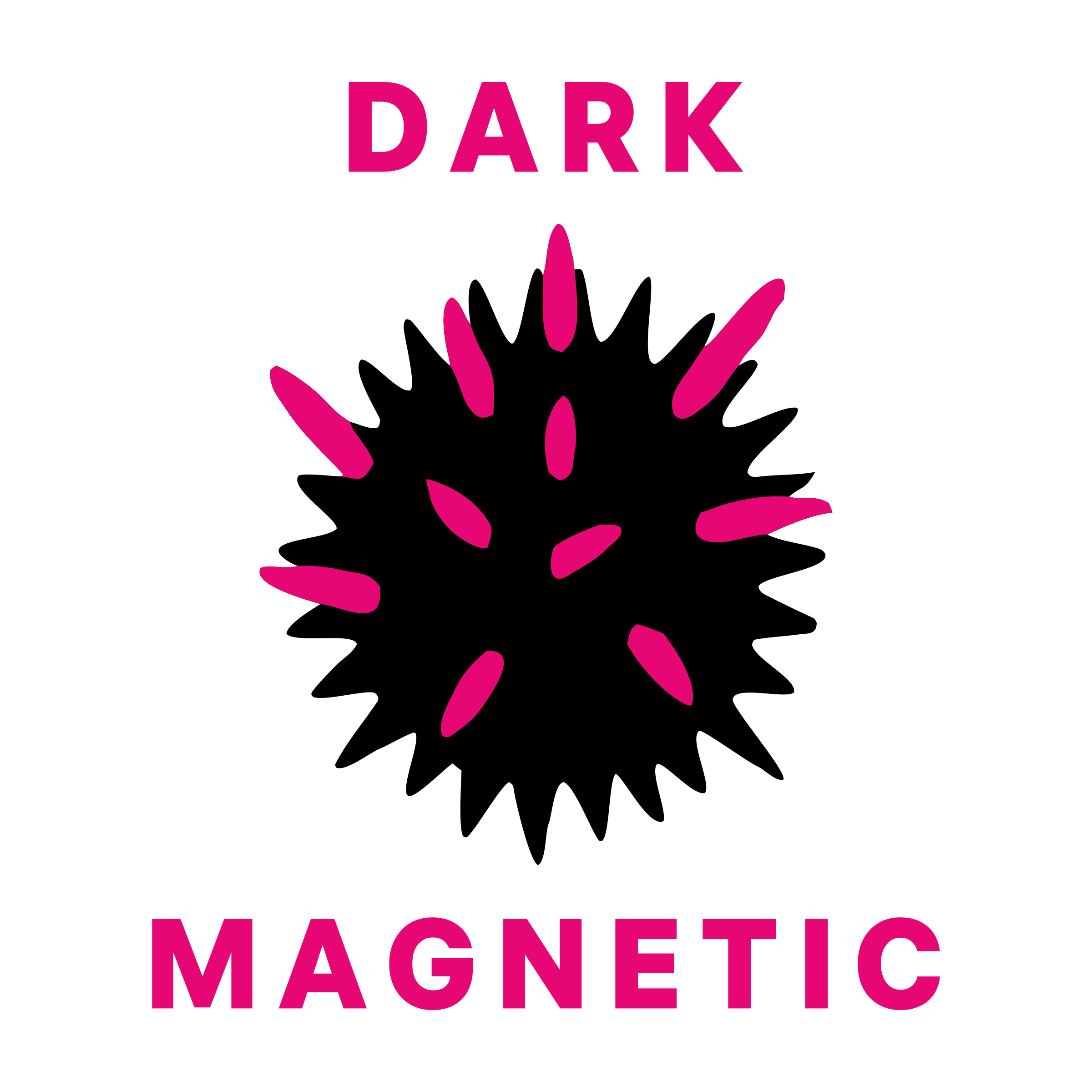 Company logo «Dark Magnetic»