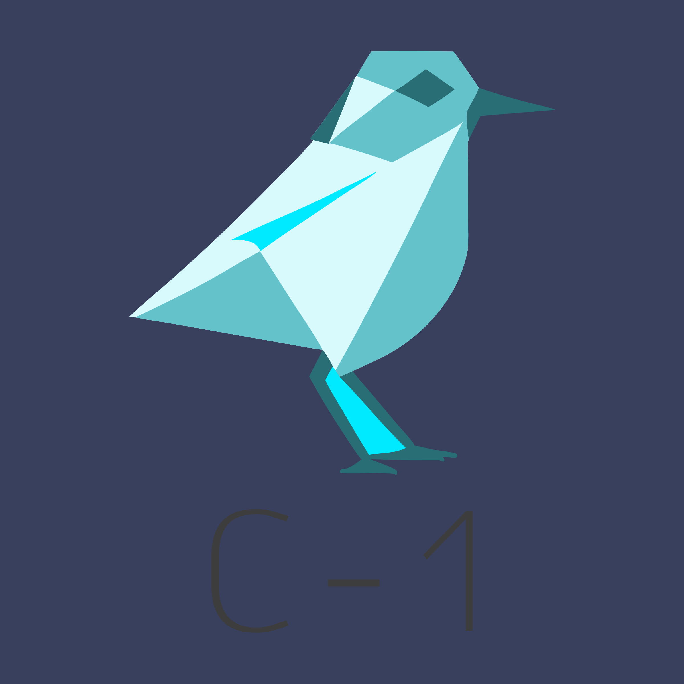 Логотип компании «С-1»