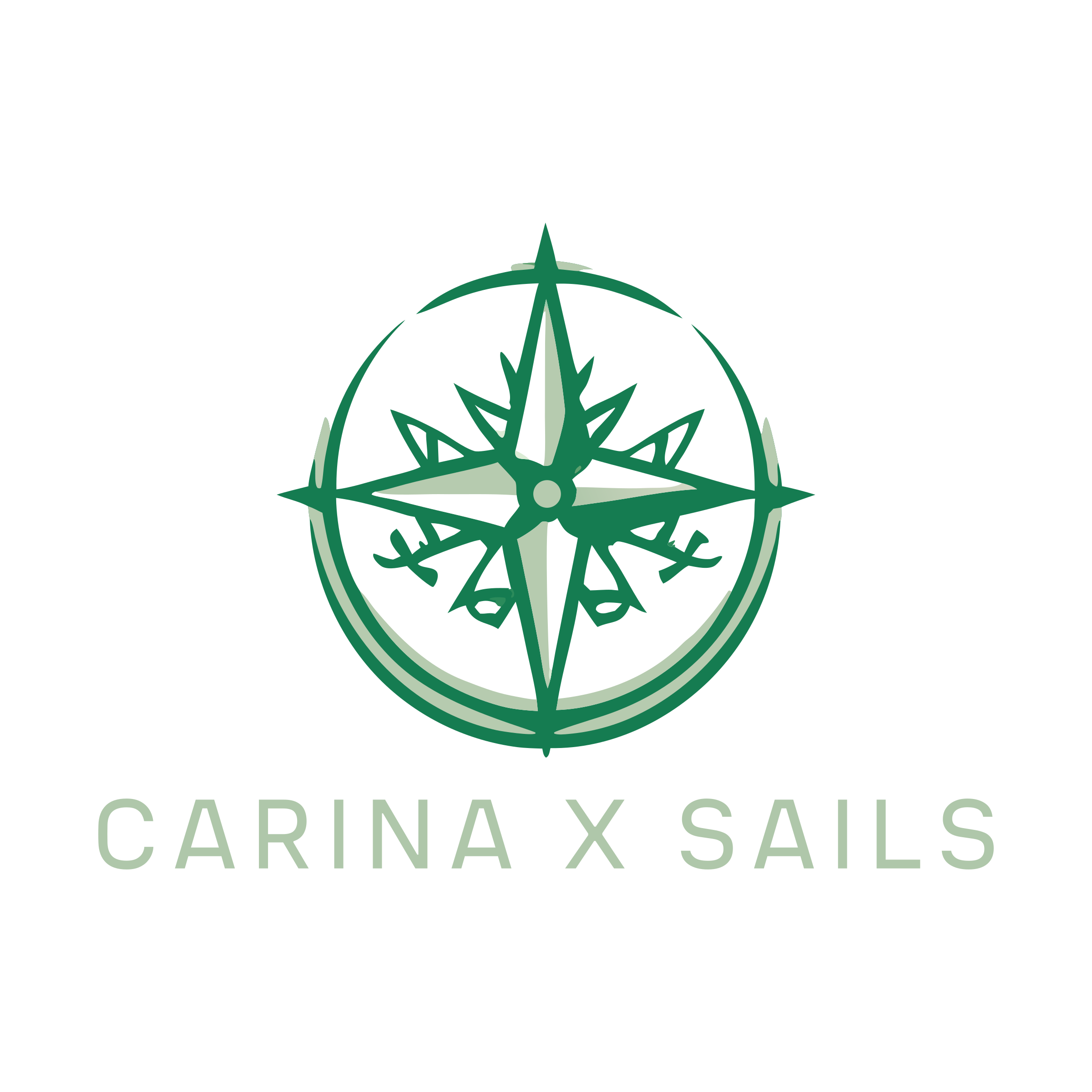 Company logo «Carina x Sails»