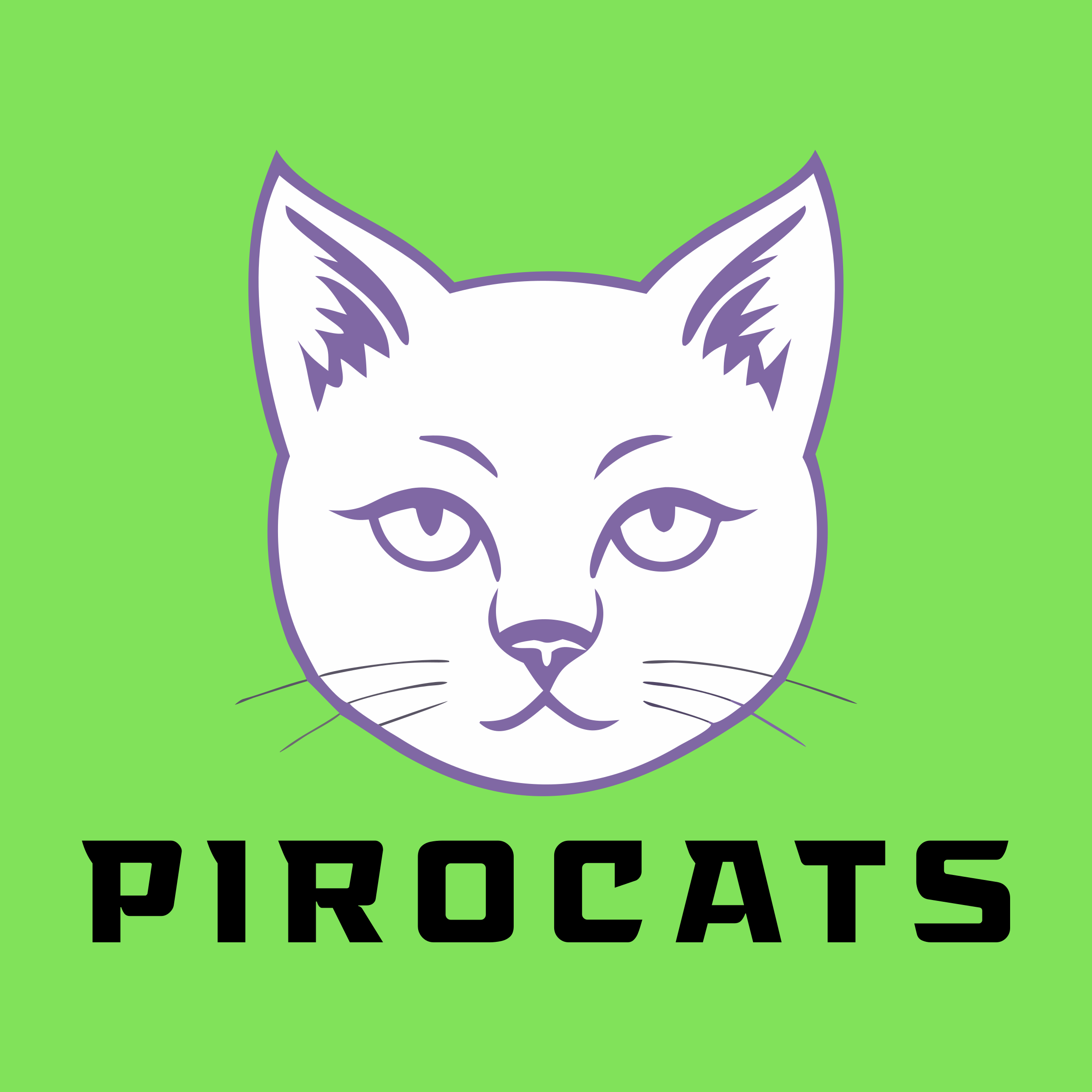 Company logo «Pirocats»