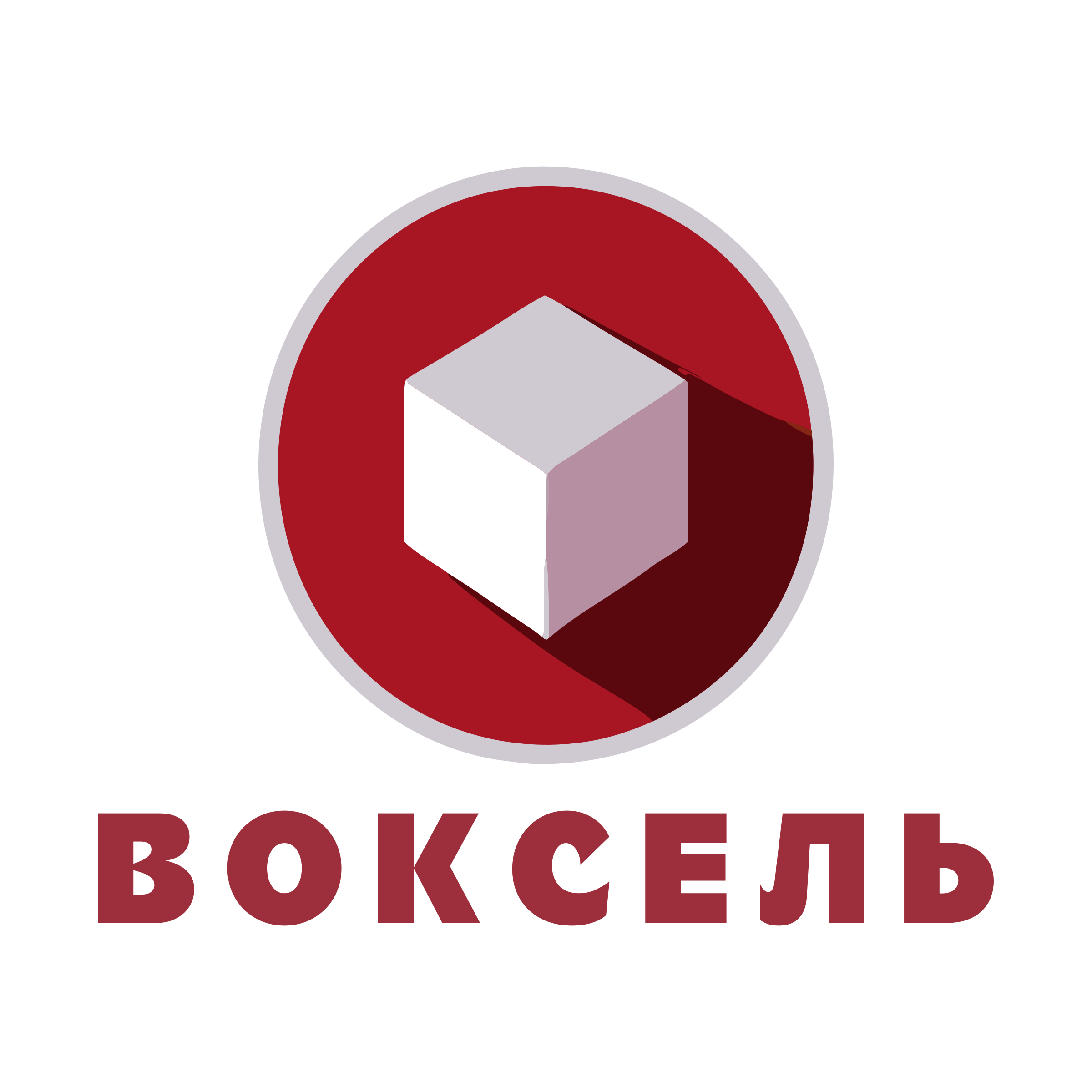Логотип компании «ВОКСЕЛЬ»