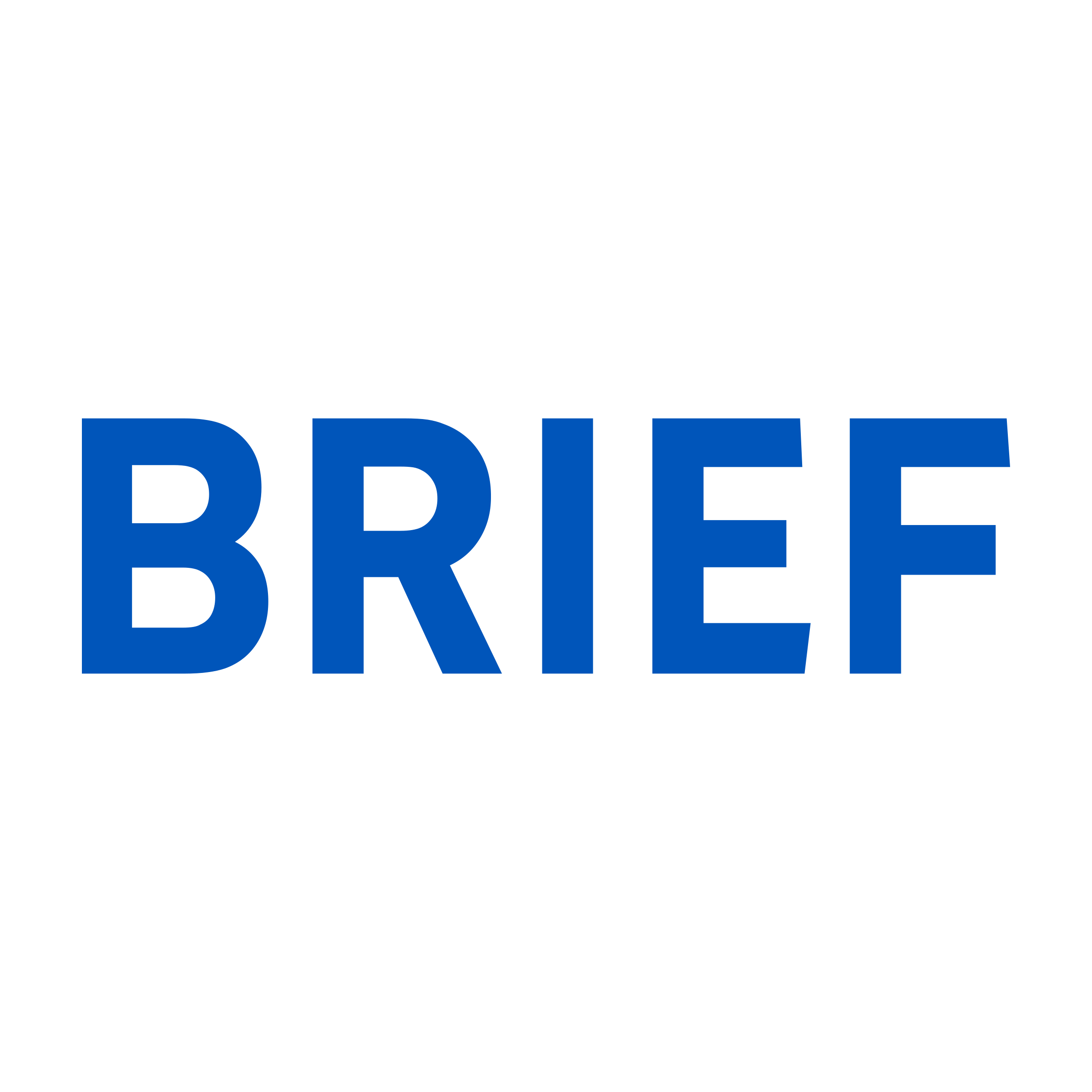 Company logo «BRIEF»